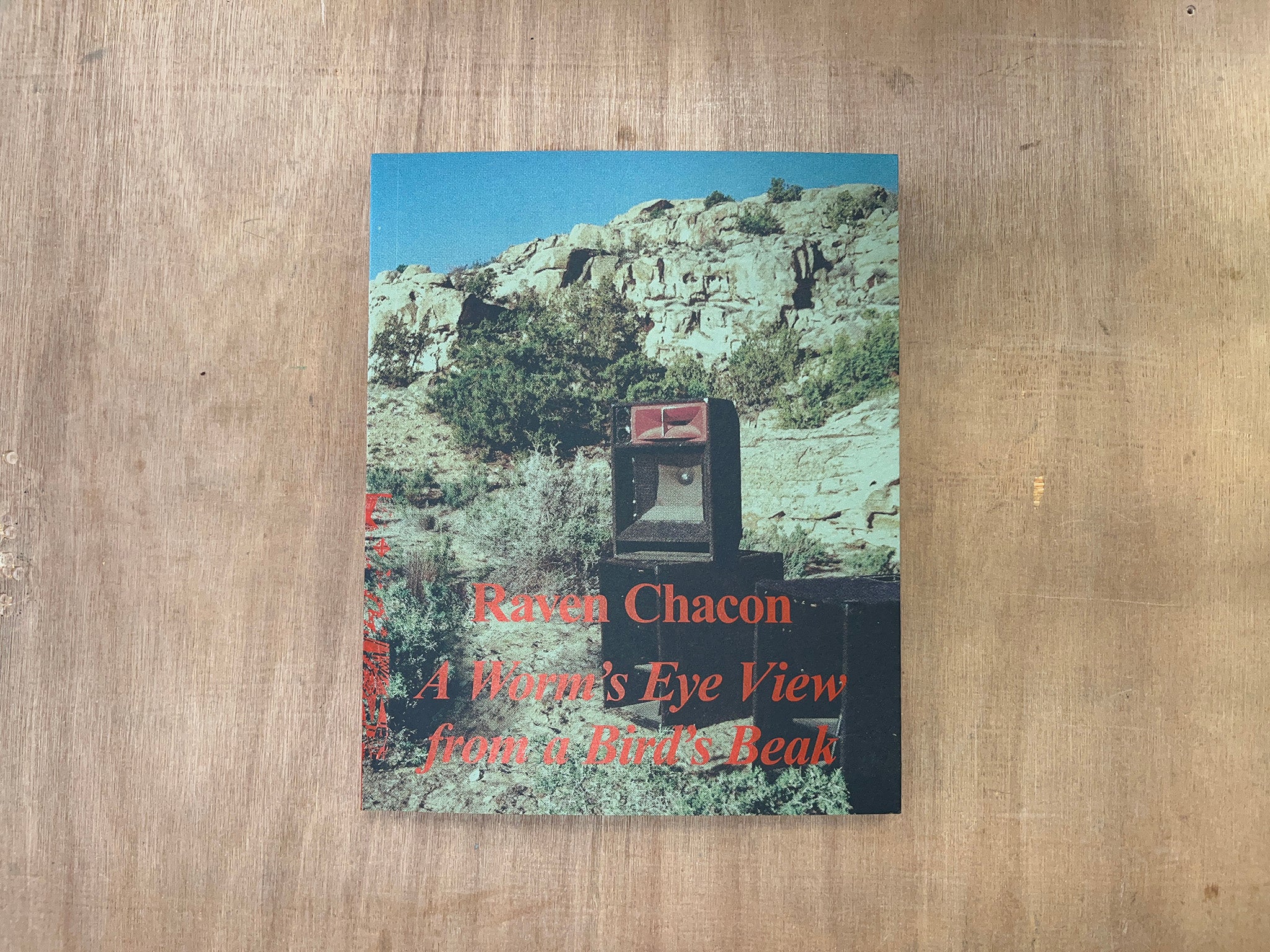 RAVEN CHACON: A WORM’S EYE VIEW FROM A BIRD’S BEAK Ed. by Alison Coplan, Katya García-Antón, Stefanie Hessler