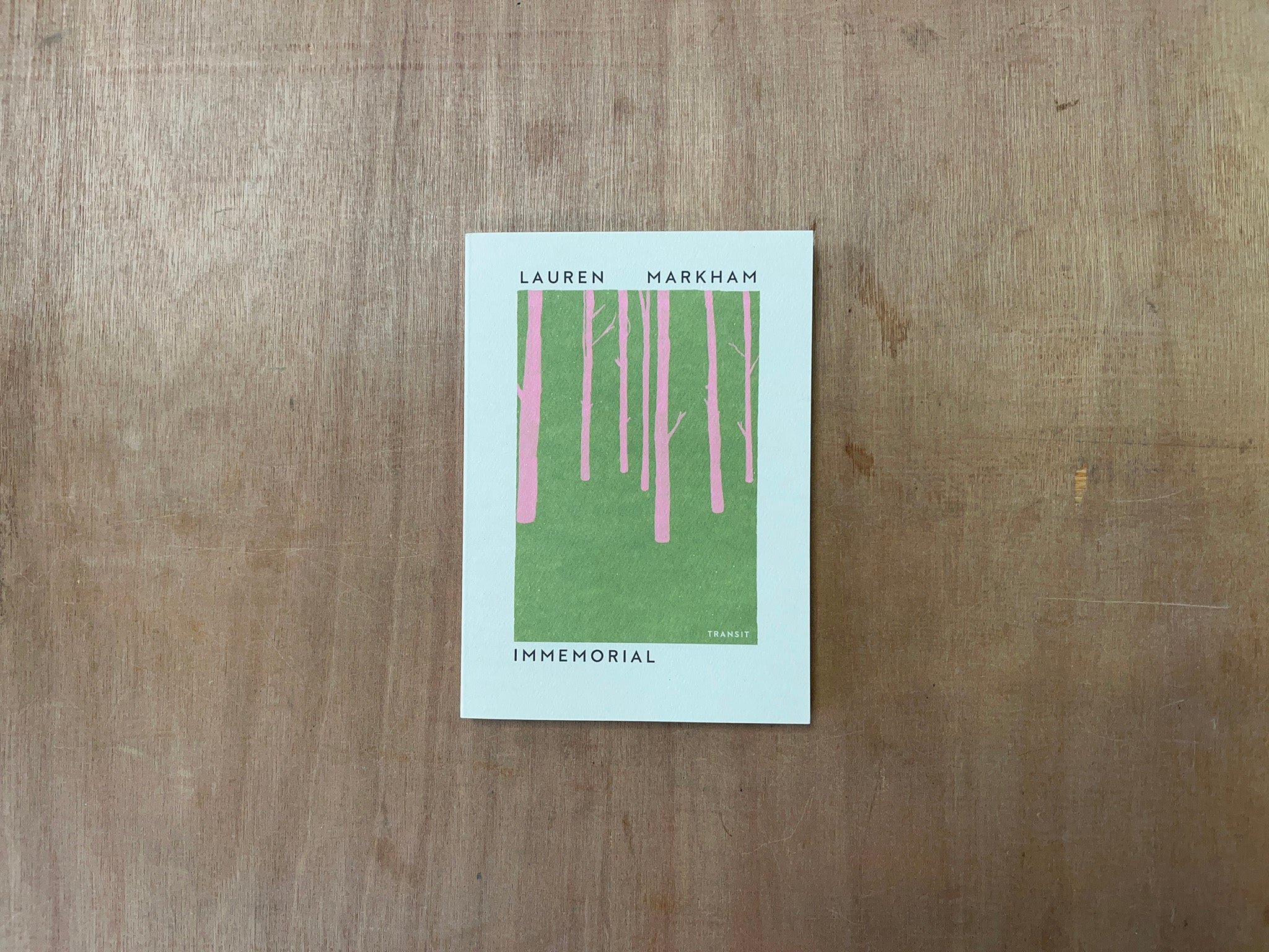 IMMEMORIAL by Lauren Markham Good Press — good books &