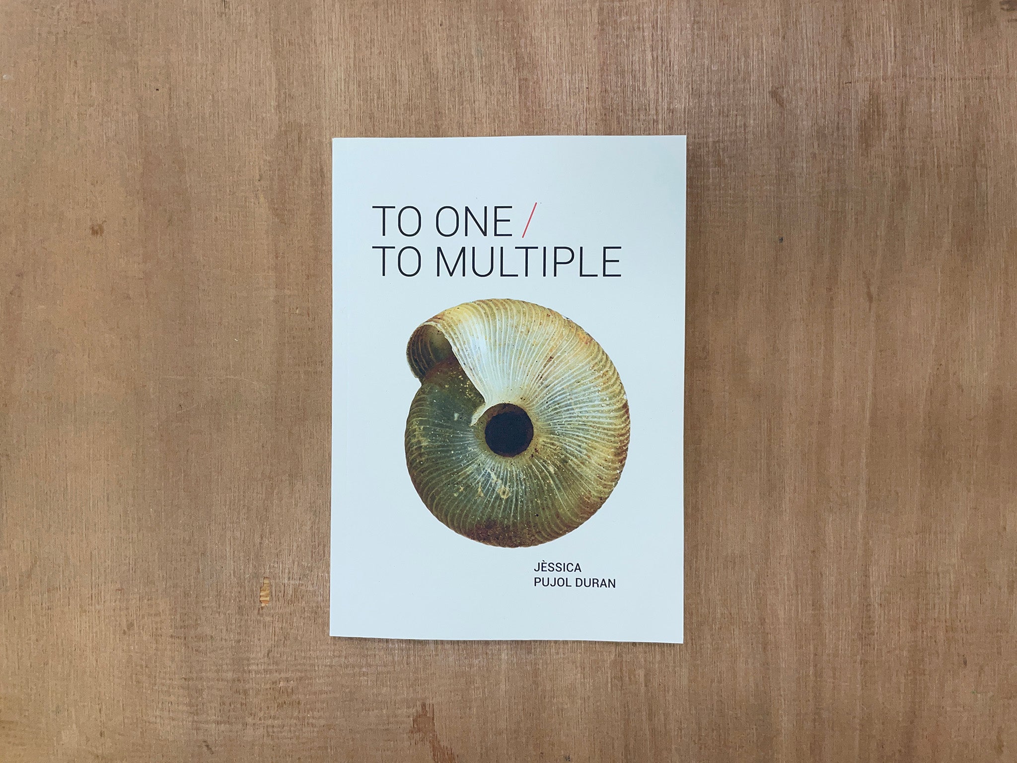 TO ONE / TO MULTIPLE by Jéssica Pujol Duran