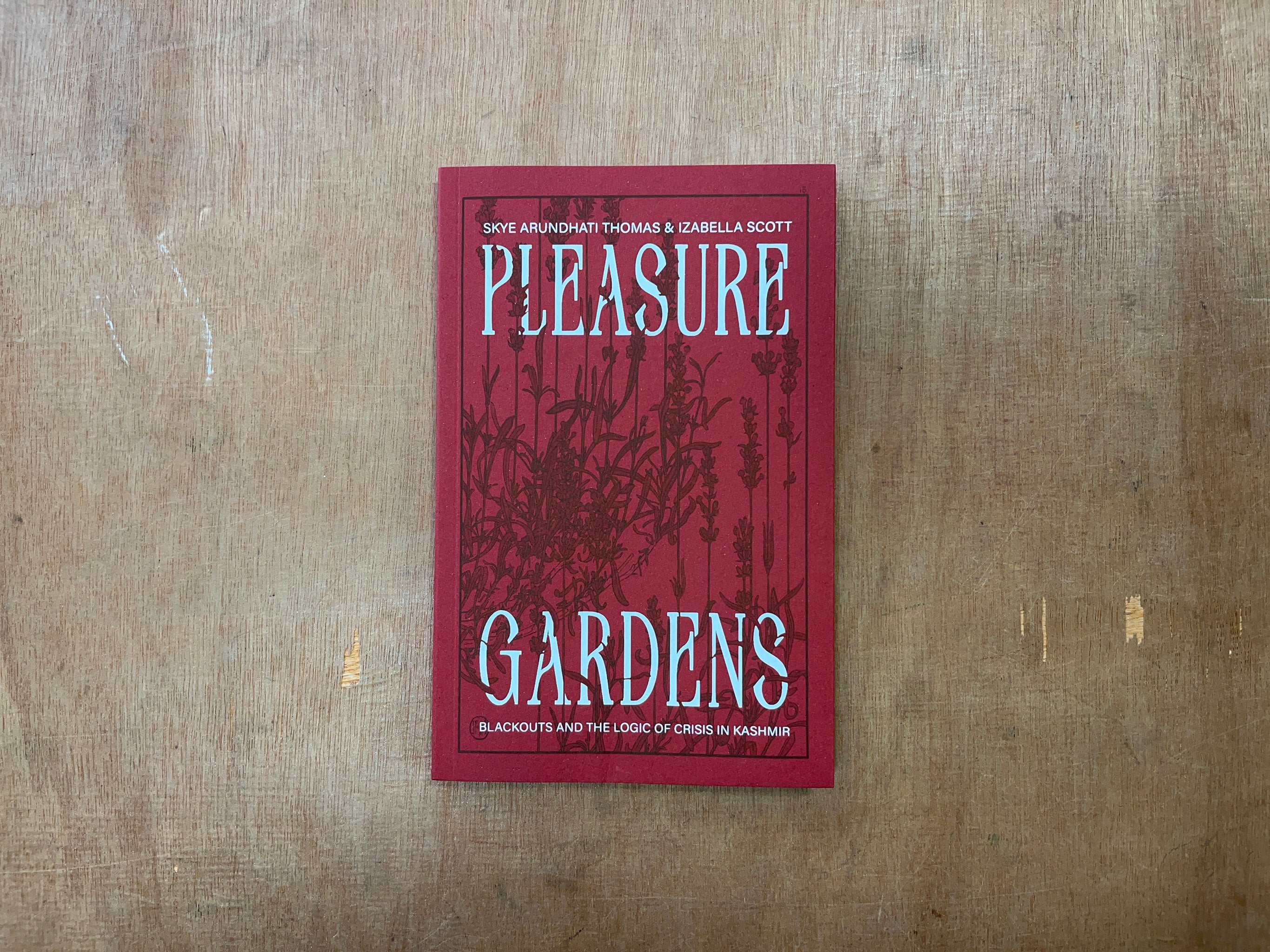 PLEASURE GARDENS: BLACKOUTS AND THE LOGIC OF CRISIS IN KASHMIR by