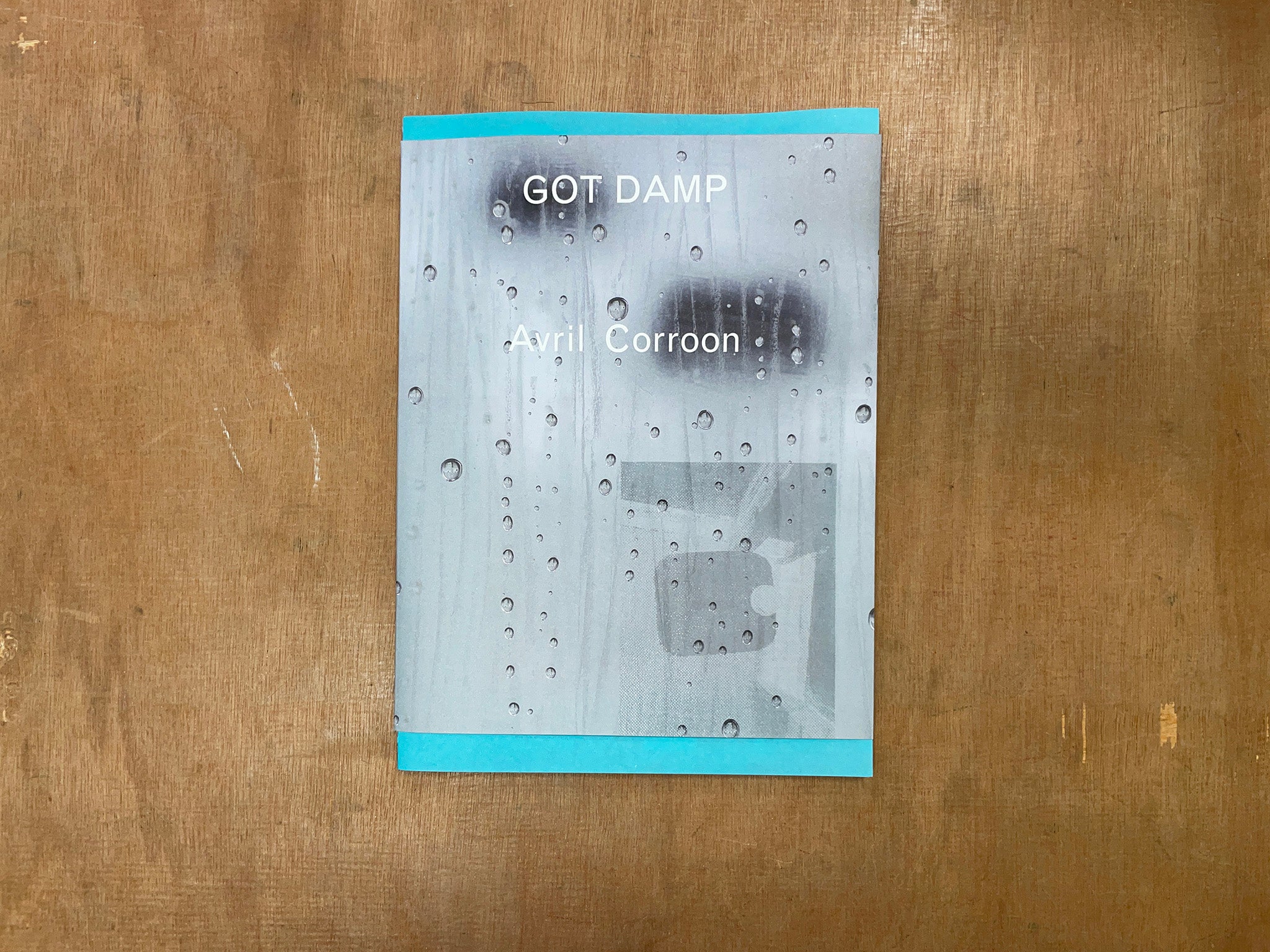 GOT DAMP by Avril Corroon