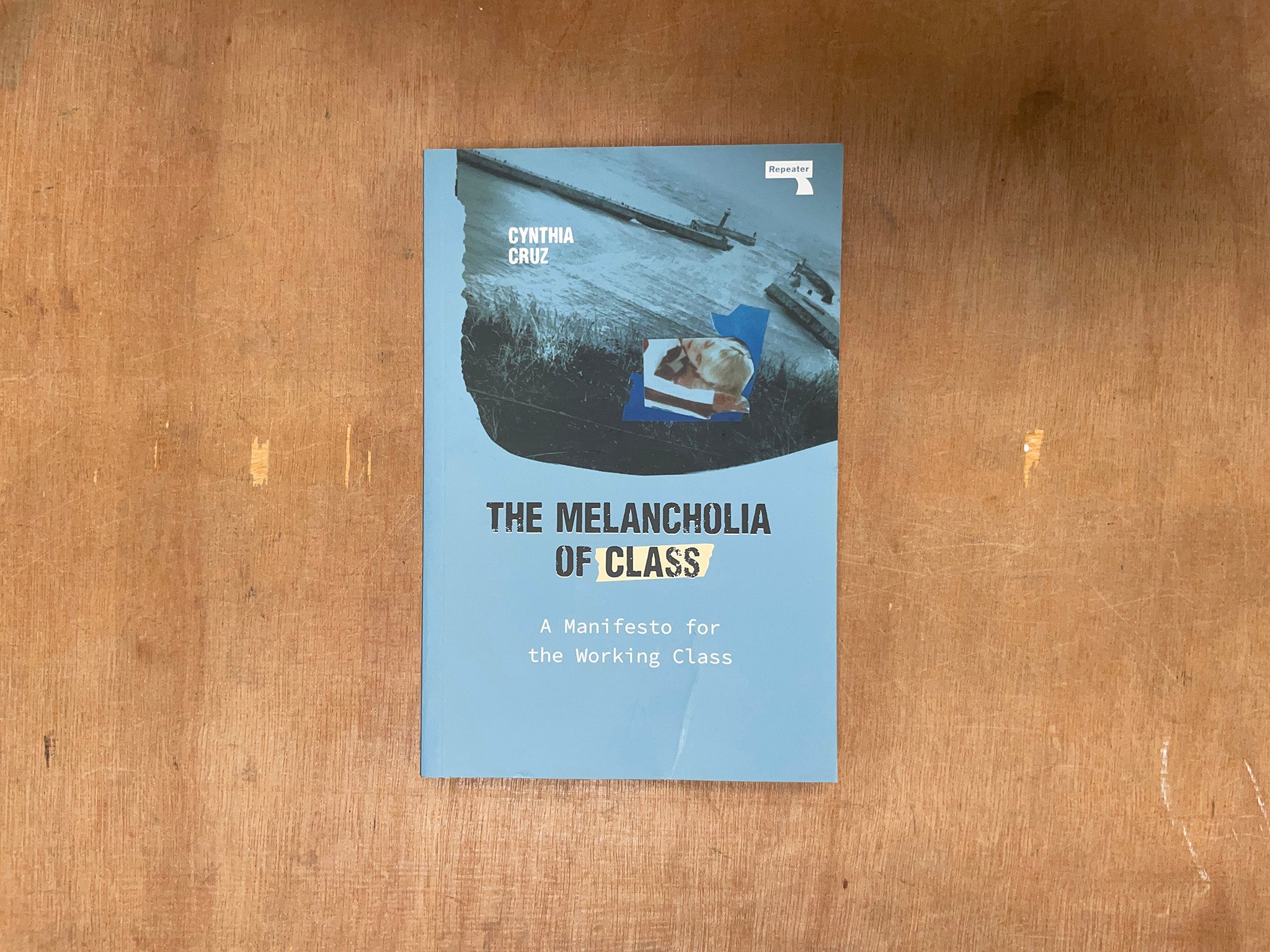 THE MELANCHOLIA OF CLASS: A MANIFESTO FOR THE WORKING CLASS by Cynthia Cruz