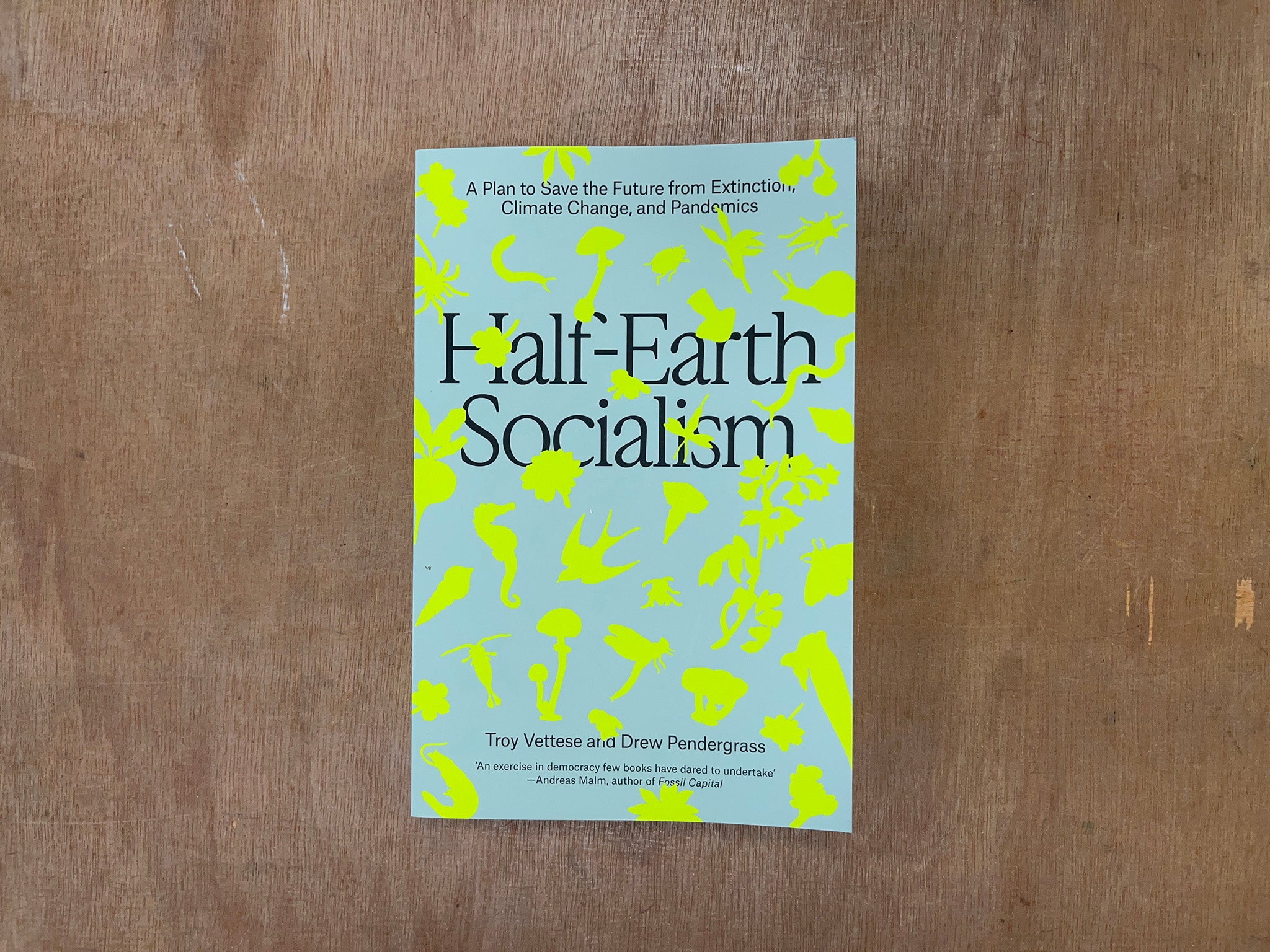 HALF-EARTH SOCIALISM by  Drew Pendergrass & Troy Vettese