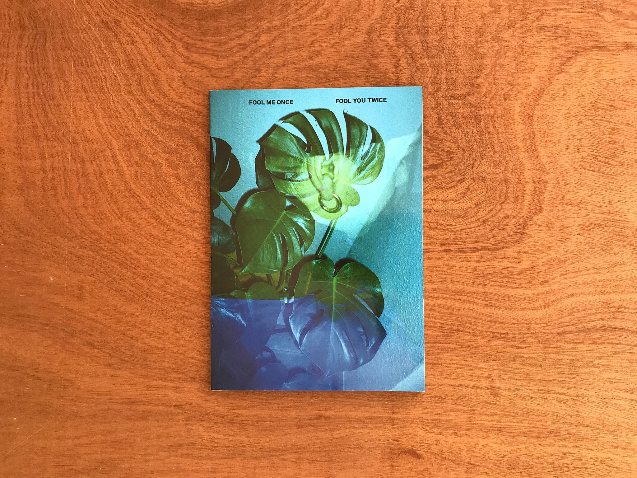 FOOL ME ONCE, FOOL YOU TWICE by Tee Ferguson – Good Press — good books