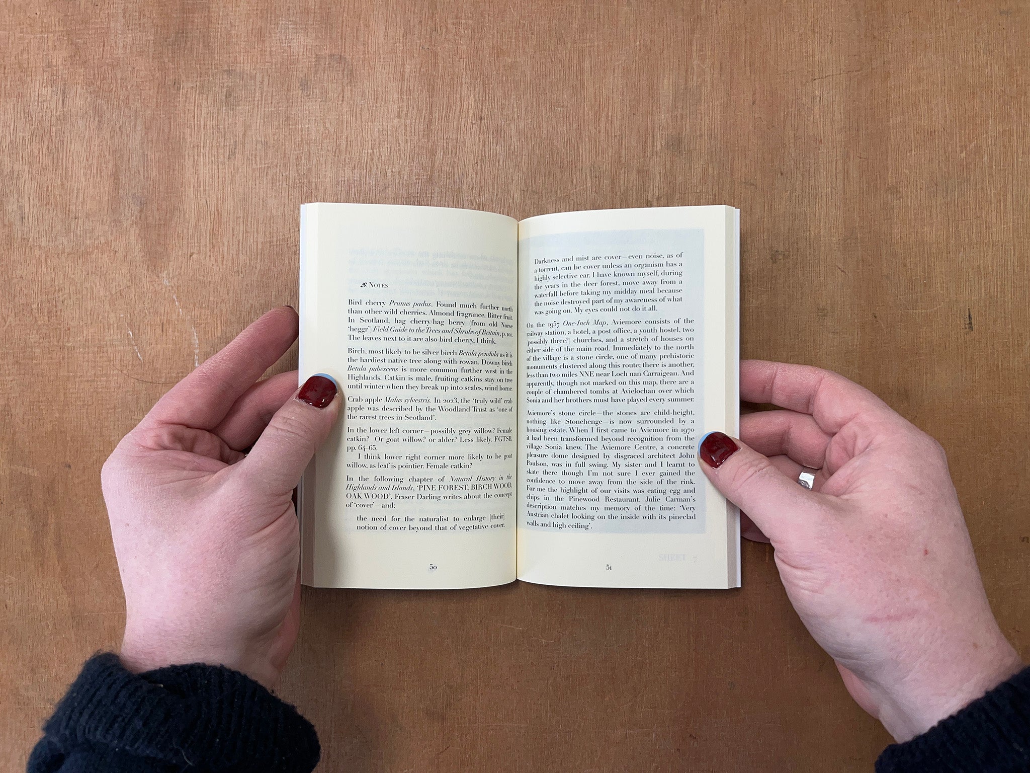 SONIA'S BOOK by Bridget Penney