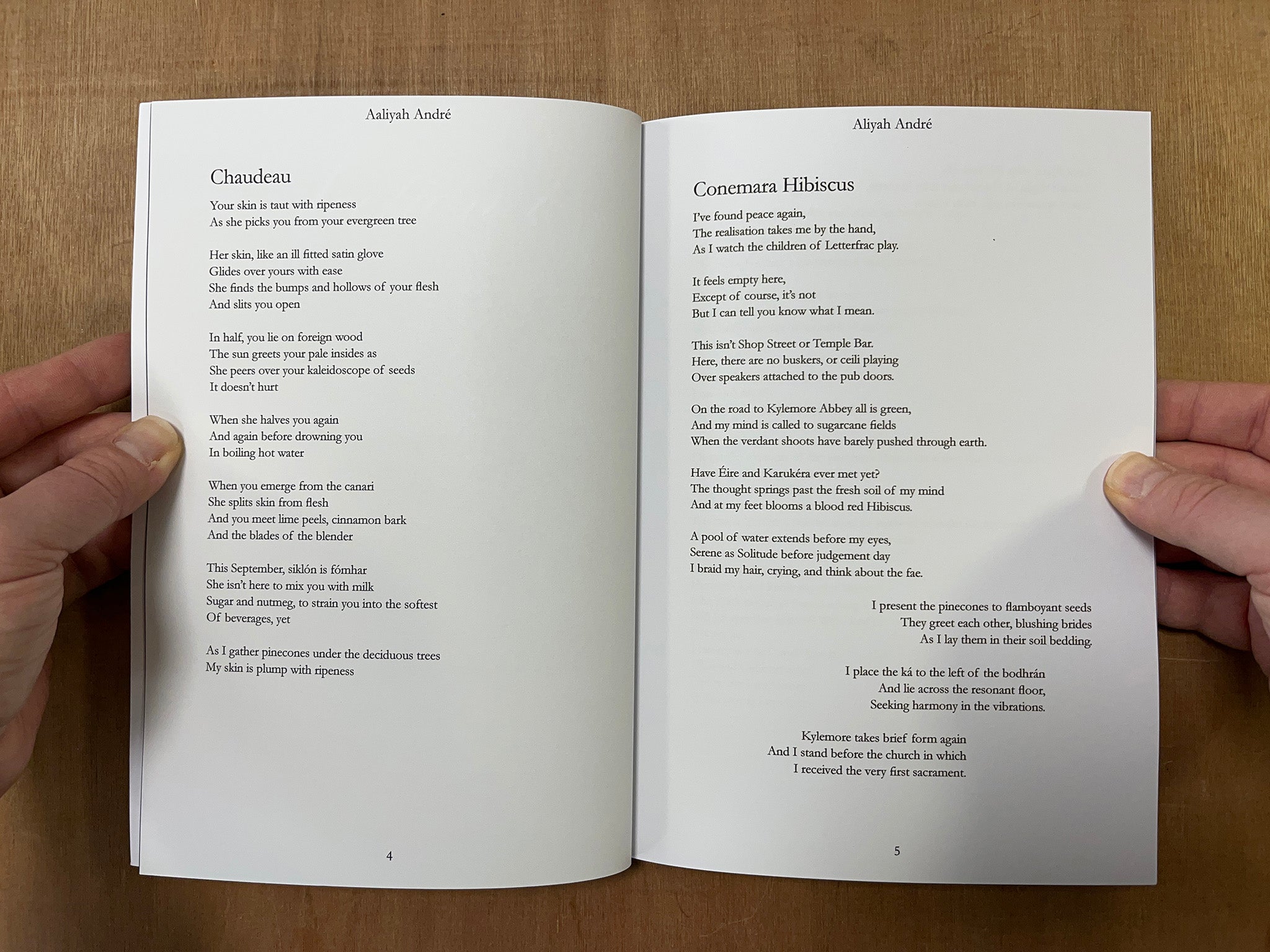 BLUE BODIES: A COLLECTION OF BLACK-IRISH WRITING AND VISUAL ART by Esther A. Fatoye (Ed.)