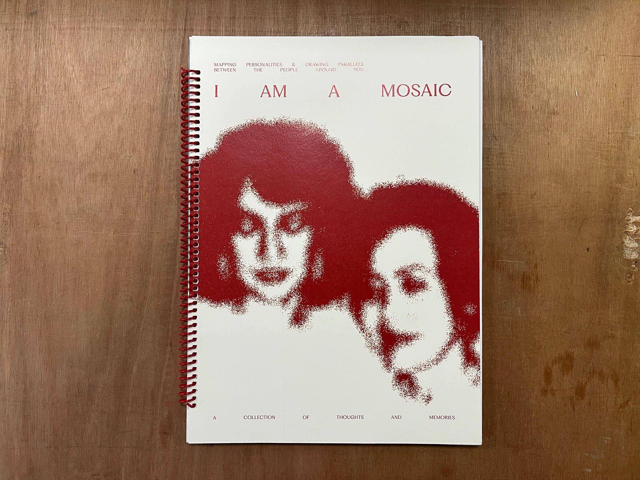 I AM A MOSAIC by Aisyah Rahan