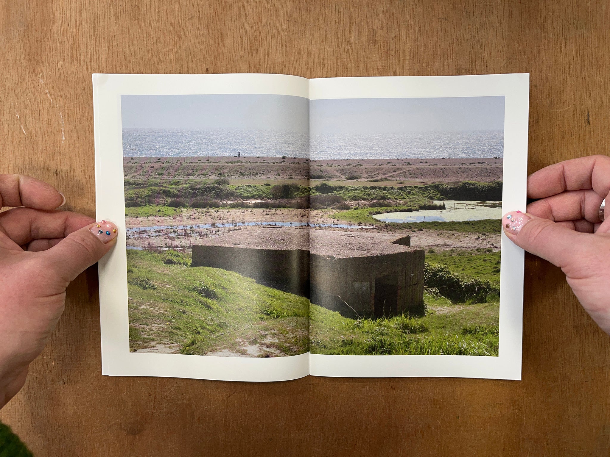 FROM THE SEA TO THE LAND BEYOND by Julius Smit