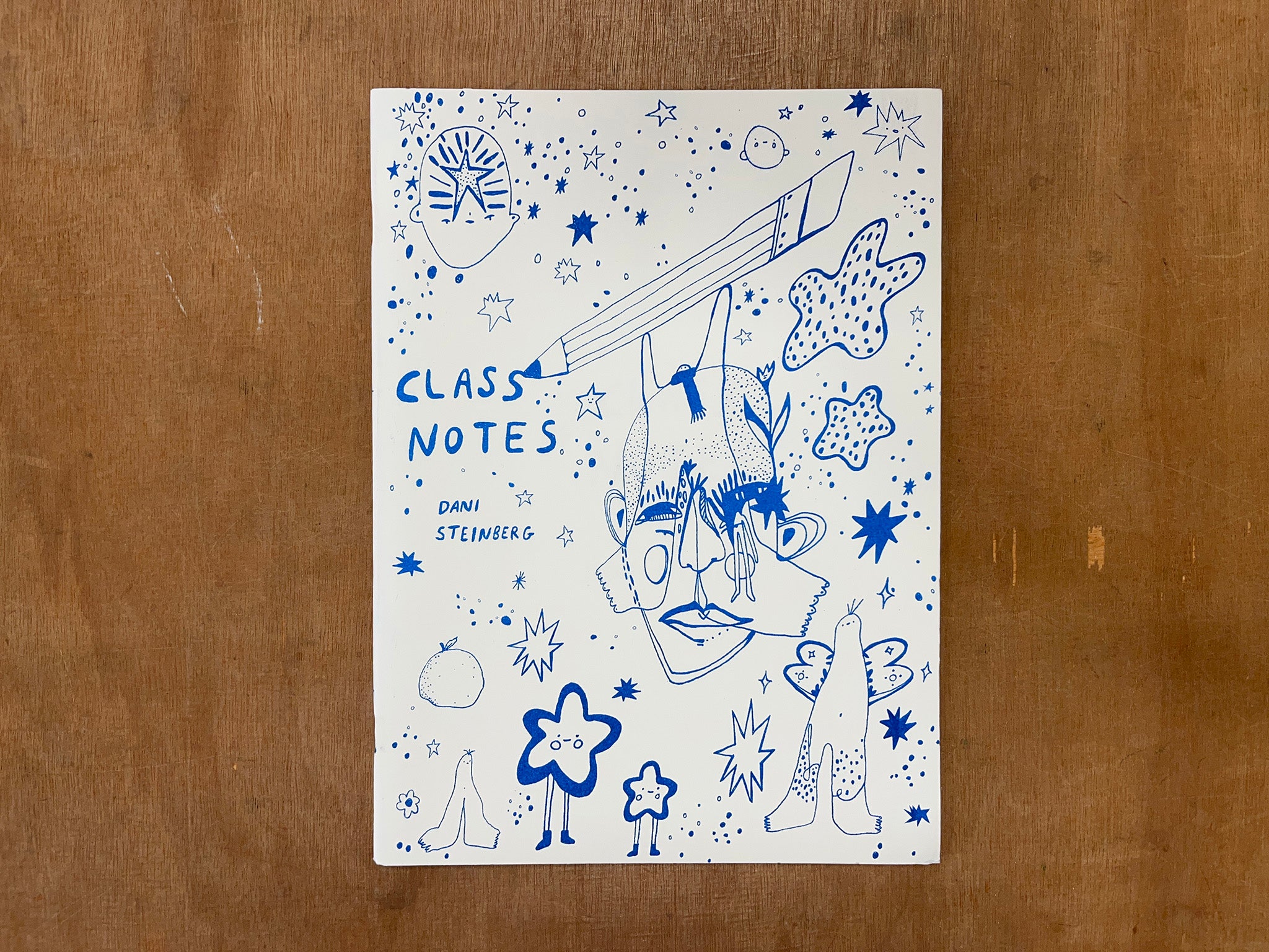 CLASS NOTES by Dani Steinberg – Good Press — good books & more
