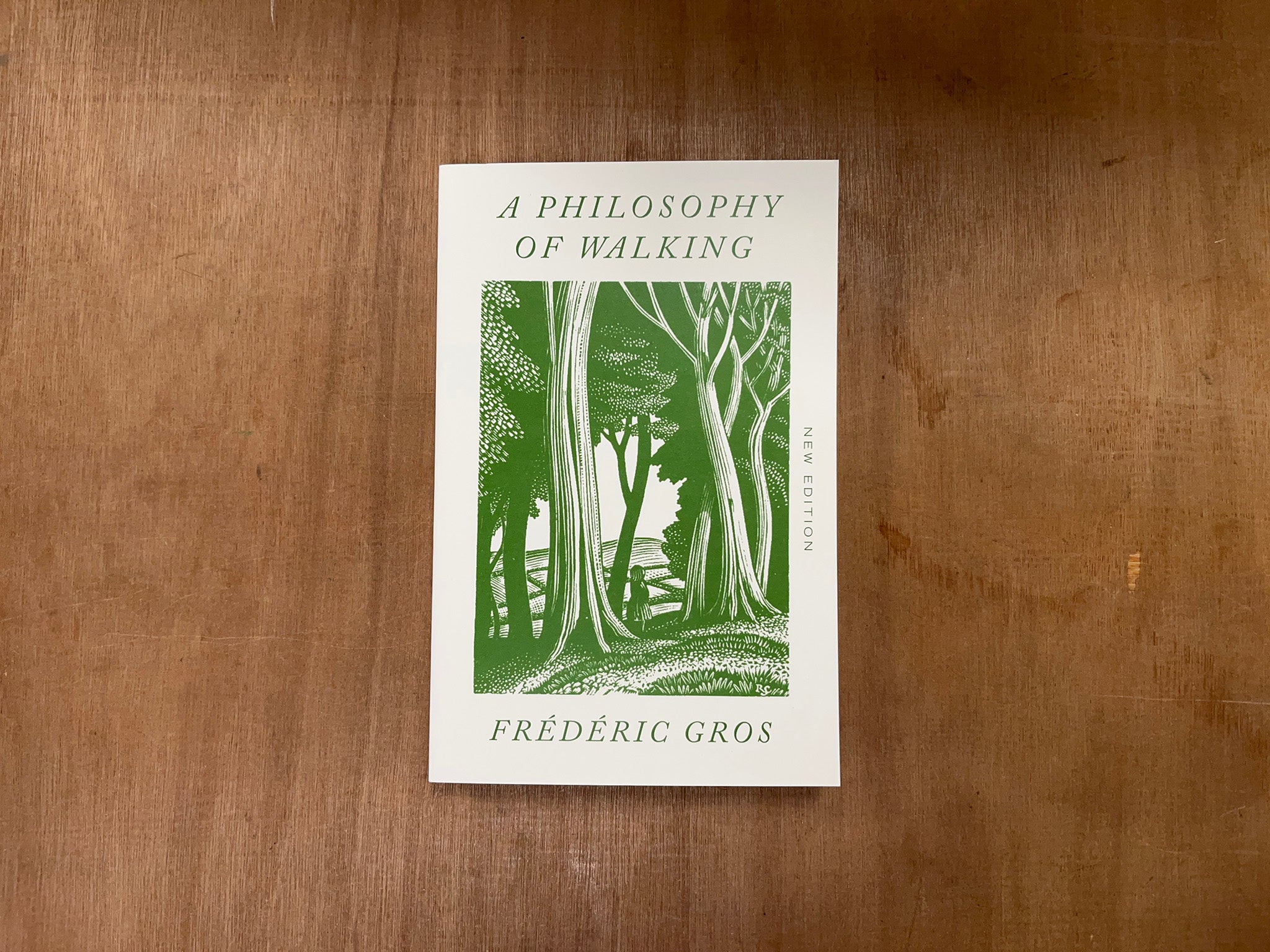 A PHILOSOPHY OF WALKING by Frédéric Gros