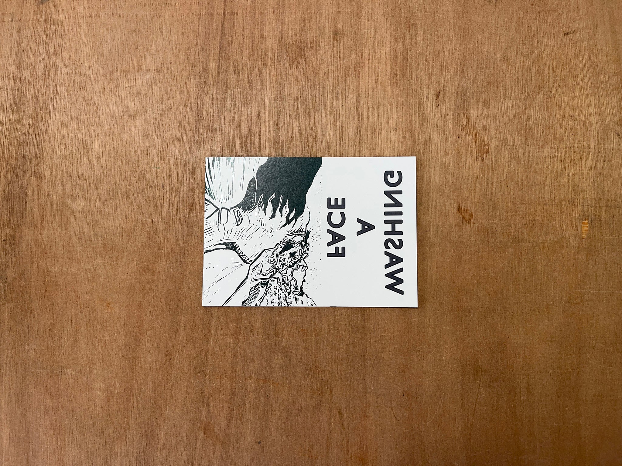 WASHING A FACE by Emily Ritchie – Good Press — good books & more