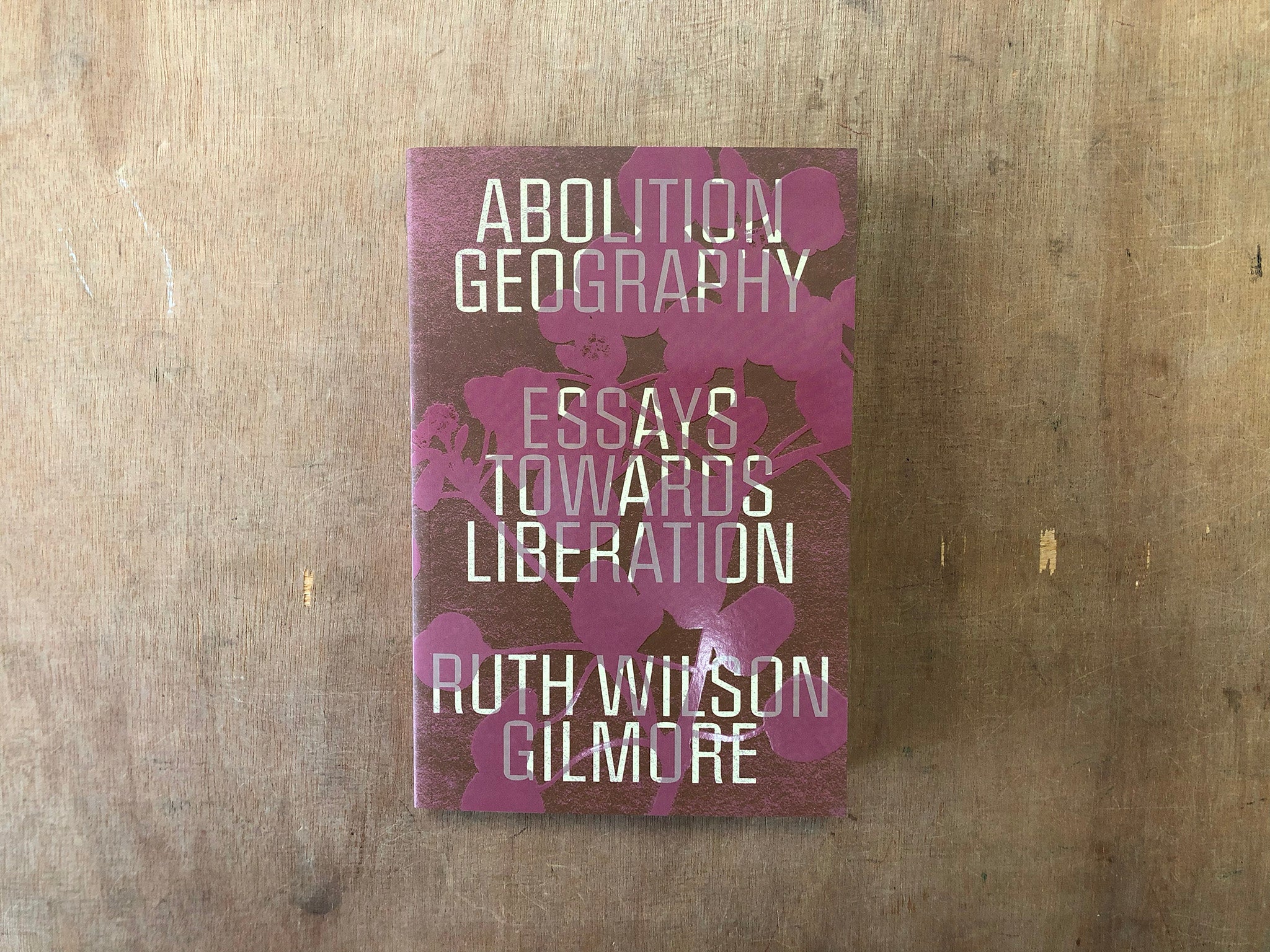 ABOLITION GEOGRAPHY: ESSAYS TOWARDS LIBERATION by Ruth Wilson Gilmore