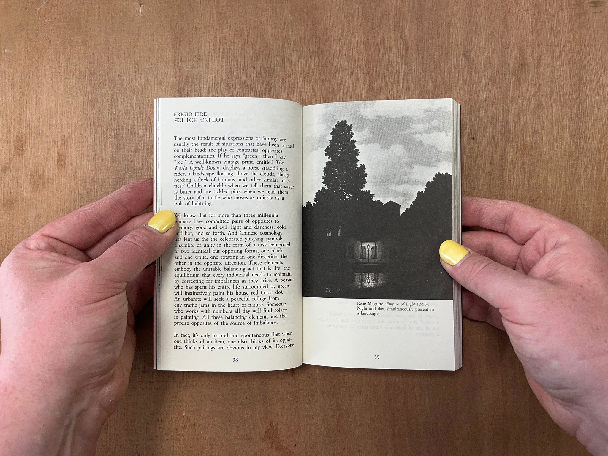 FANTASY by Bruno Munari