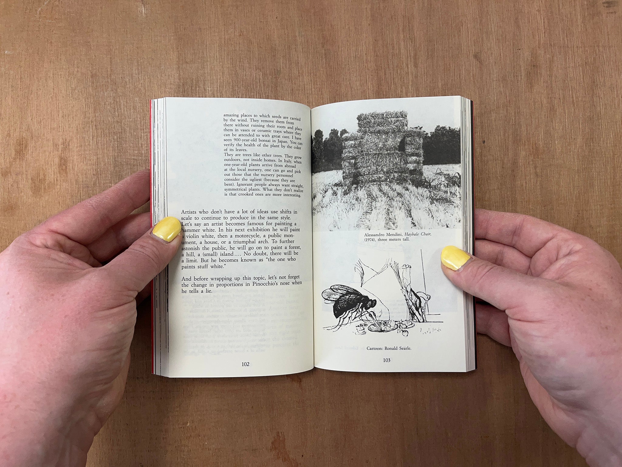 FANTASY by Bruno Munari