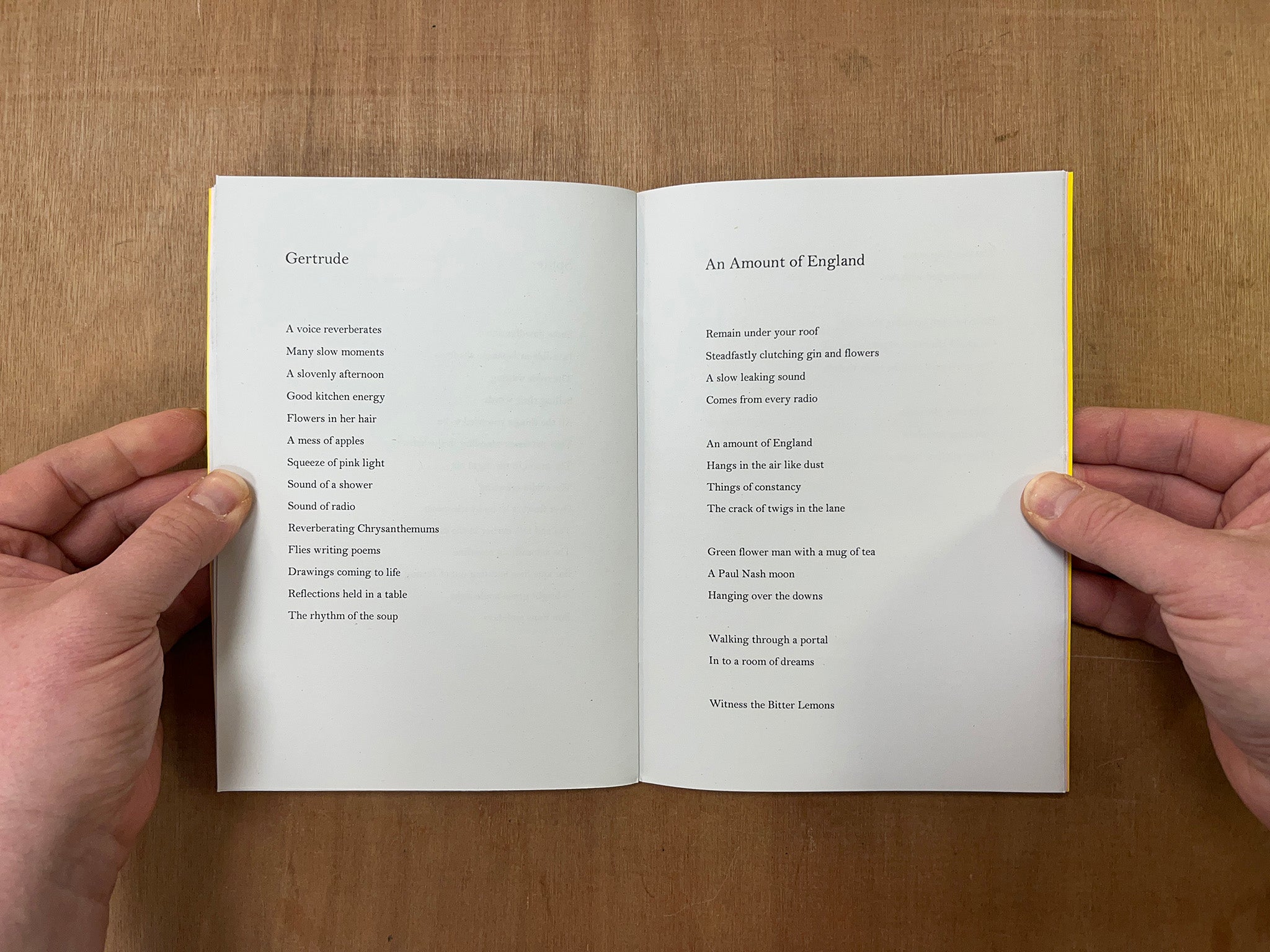 RADIO AND RAIN by Adam J. Maynard – Good Press — good books & more