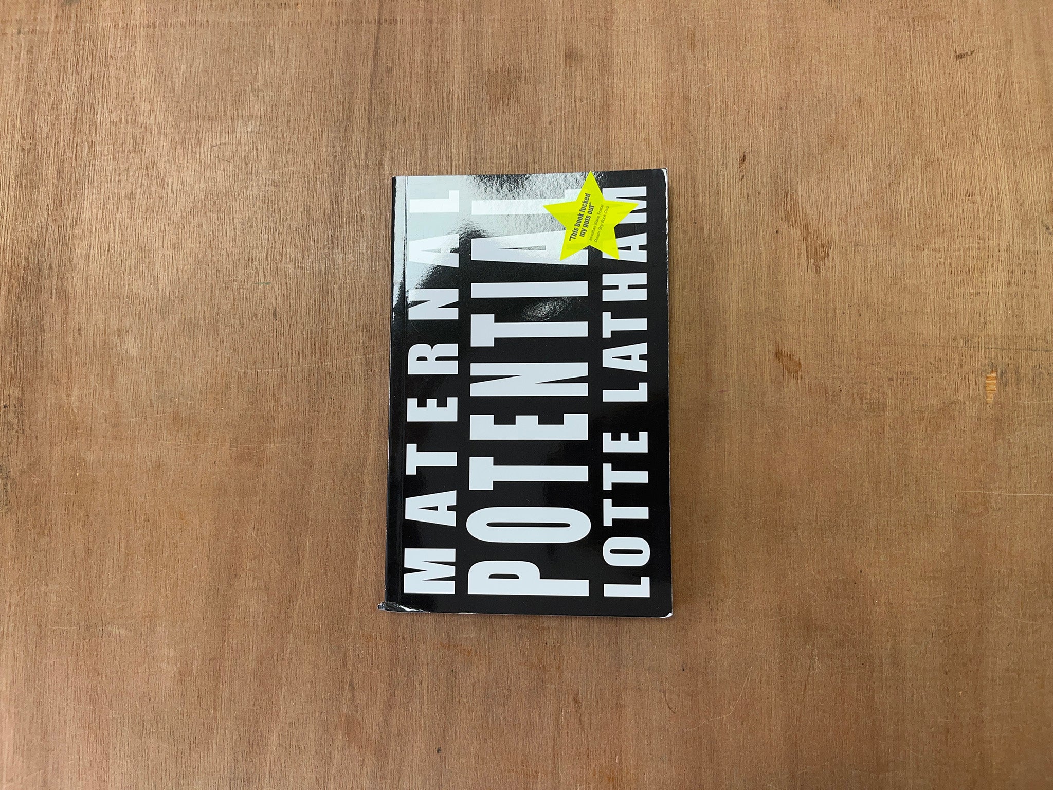 MATERNAL POTENTIAL by Lotte Latham