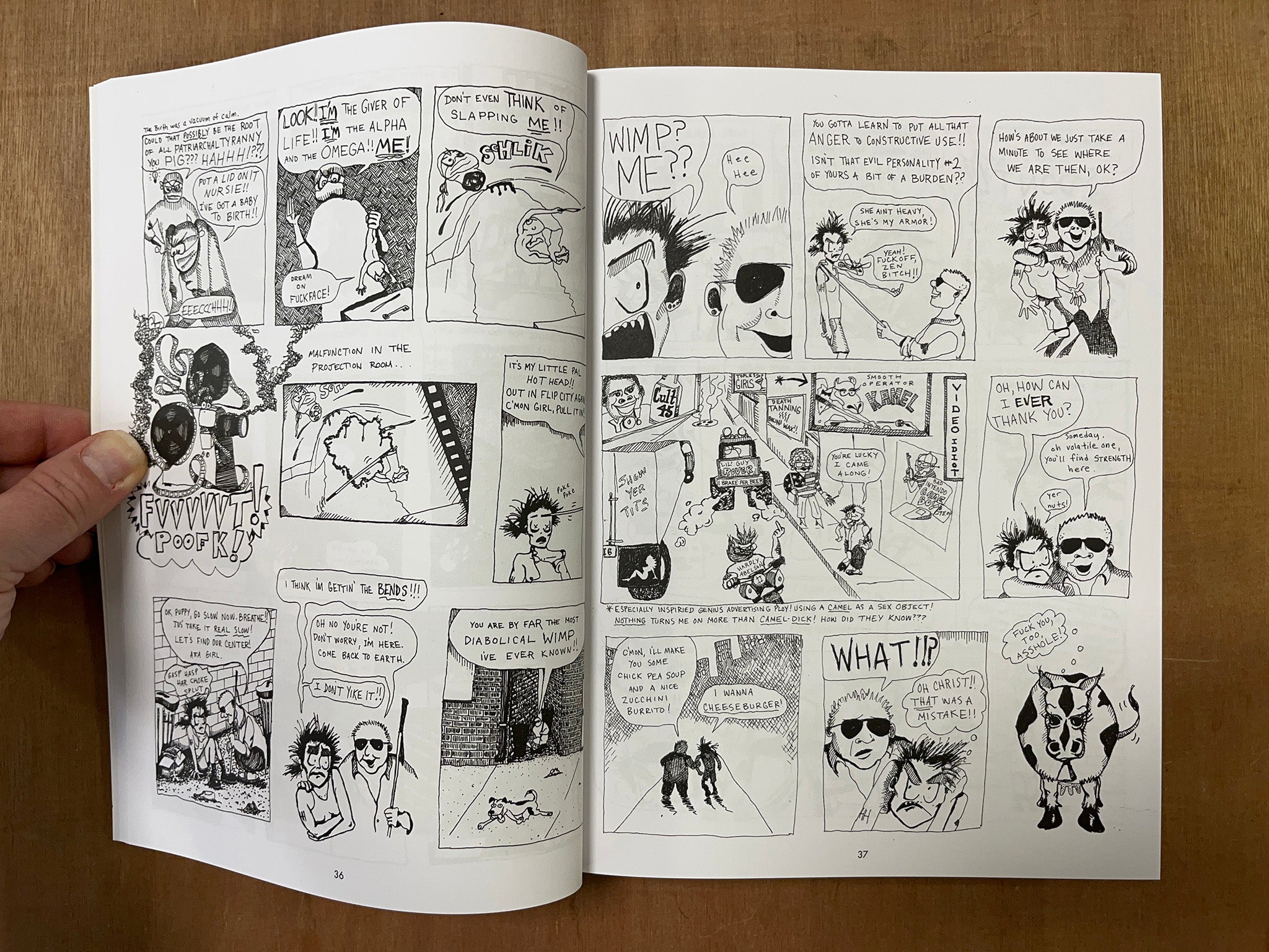 HOTHEAD PAISAN: HOMICIDAL LESBIAN TERRORIST by Diane DiMassa