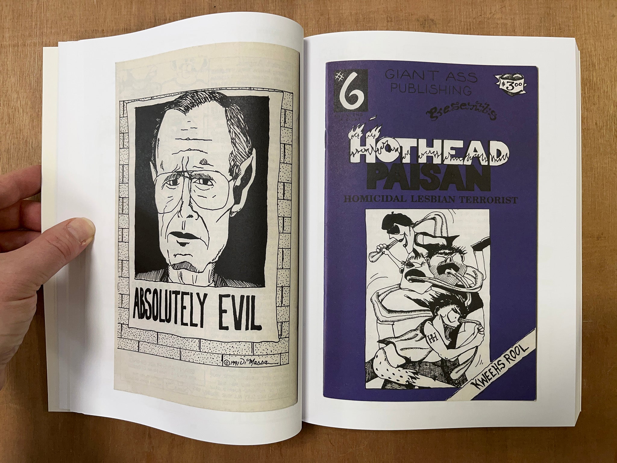 HOTHEAD PAISAN: HOMICIDAL LESBIAN TERRORIST by Diane DiMassa