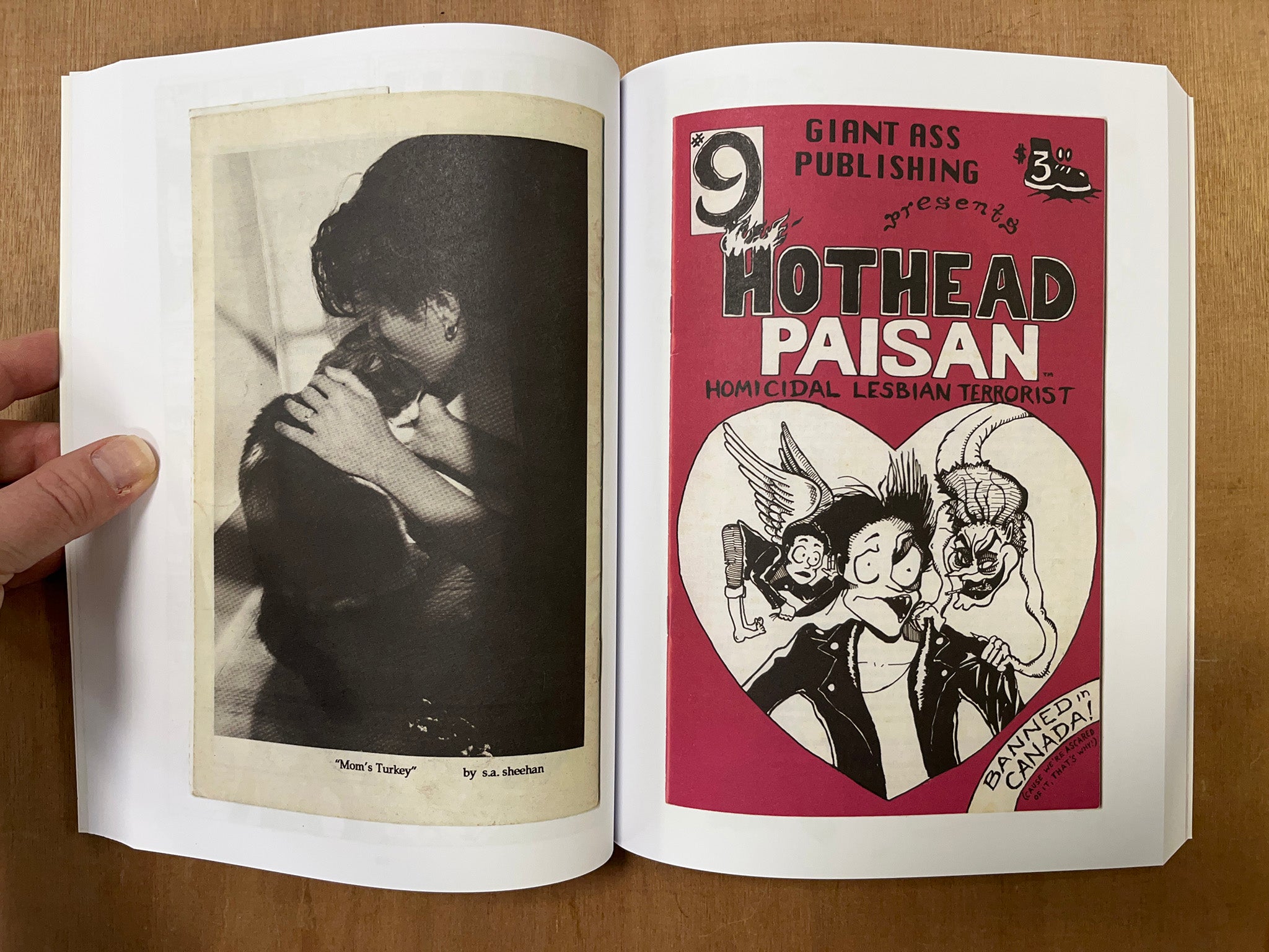 HOTHEAD PAISAN: HOMICIDAL LESBIAN TERRORIST by Diane DiMassa