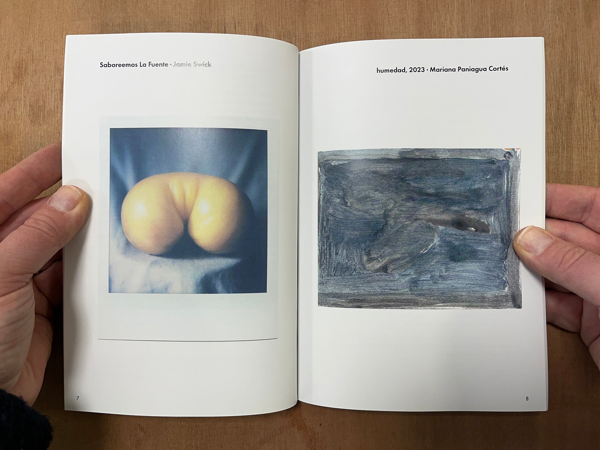 SOLO FRUTAS by Freya Johnson Ross & Sarah de Souza (Eds.)