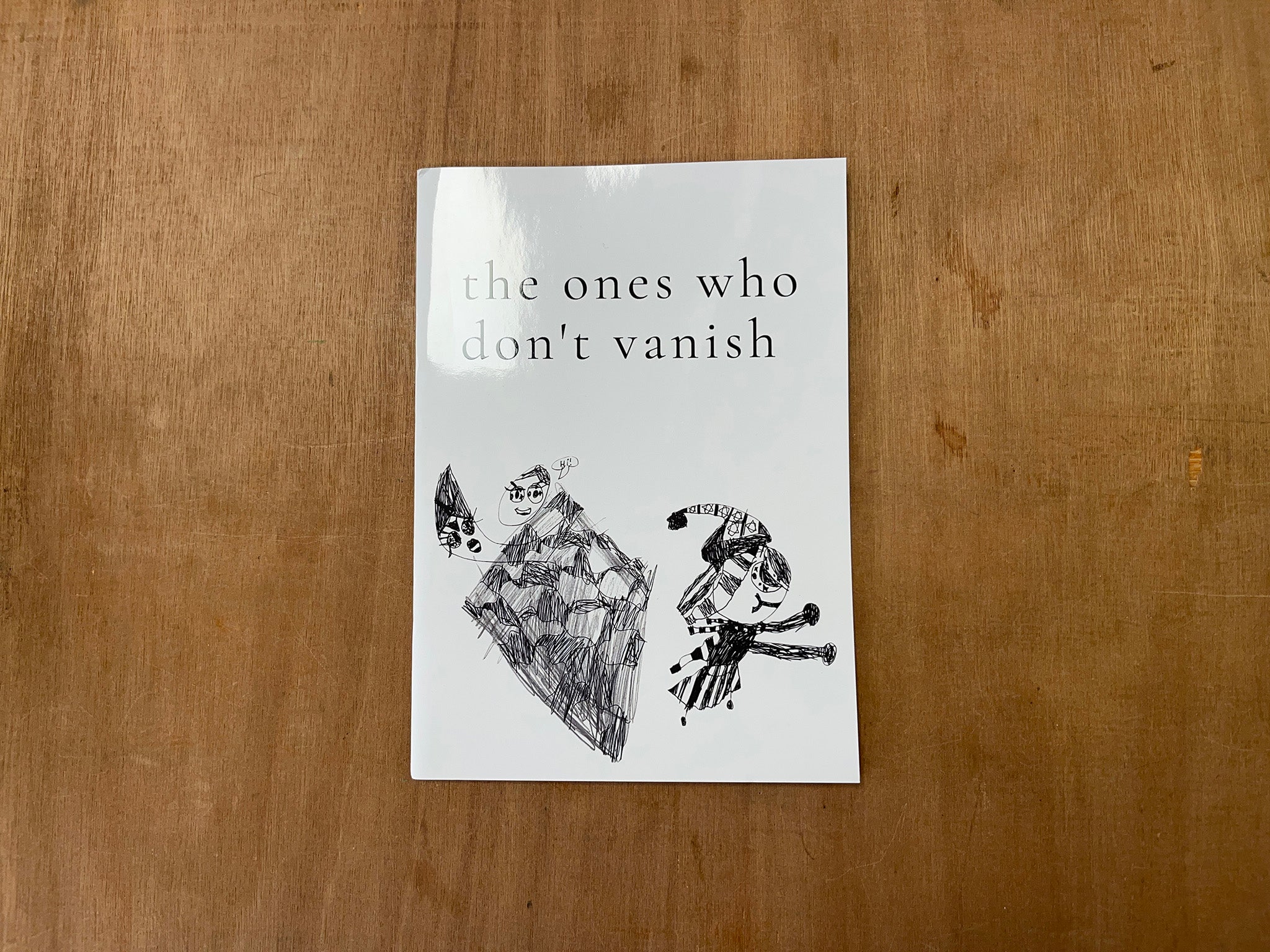 THE ONES WHO DON’T VANISH by Lisa