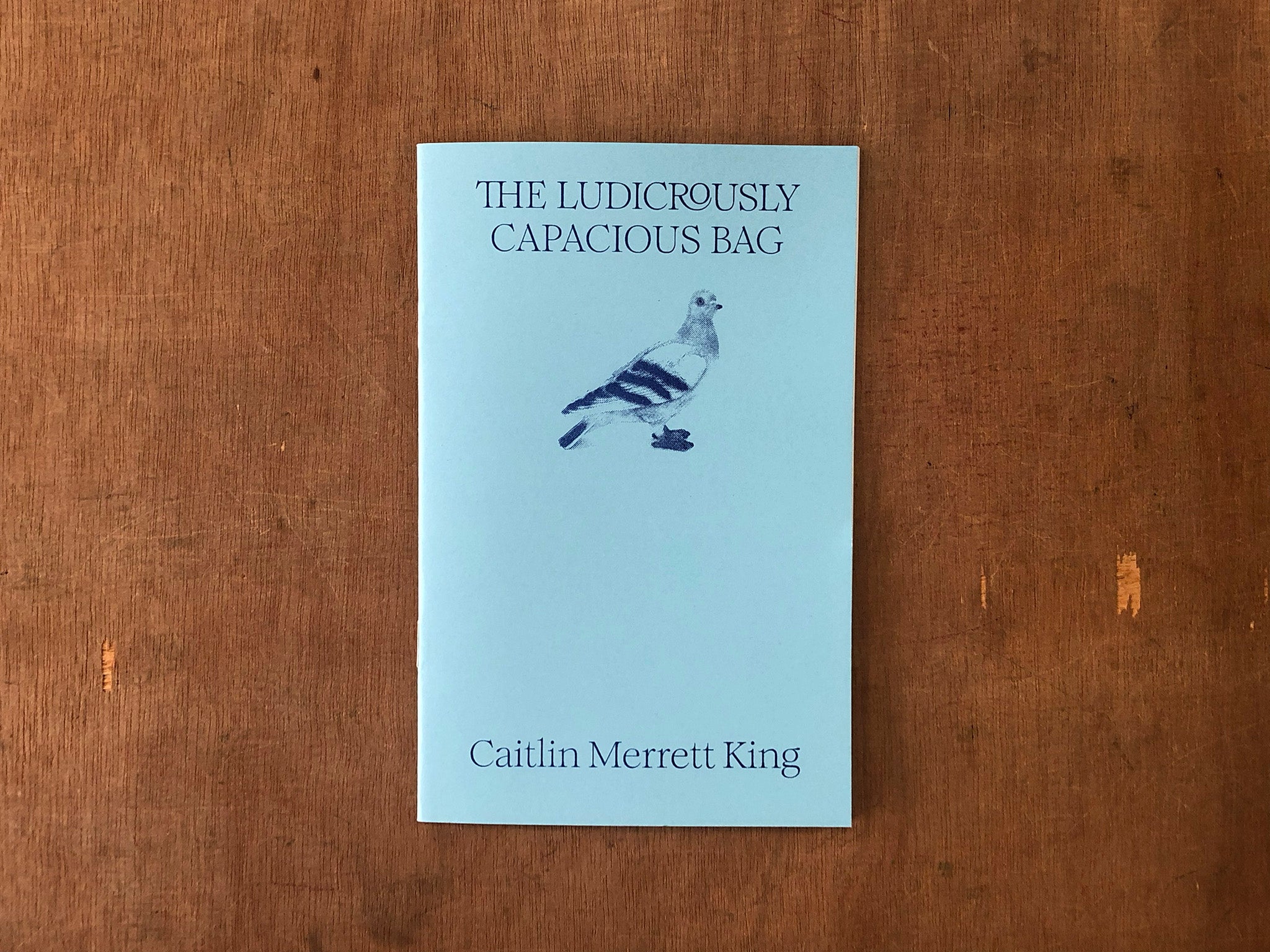 THE LUDICROUSLY CAPACIOUS BAG by Caitlin Merrett King