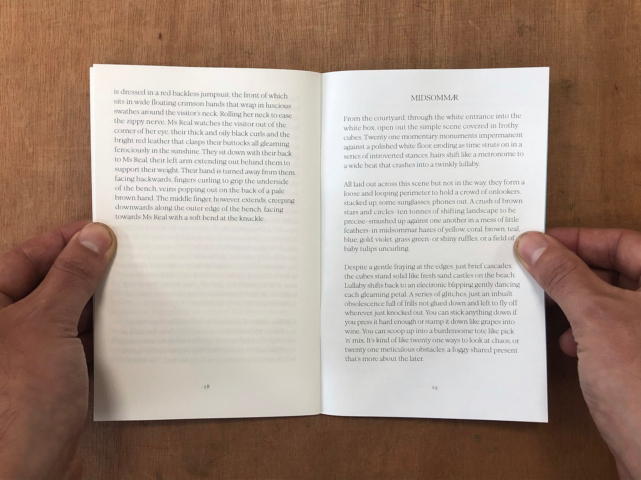 THE LUDICROUSLY CAPACIOUS BAG by Caitlin Merrett King – Good Press ...