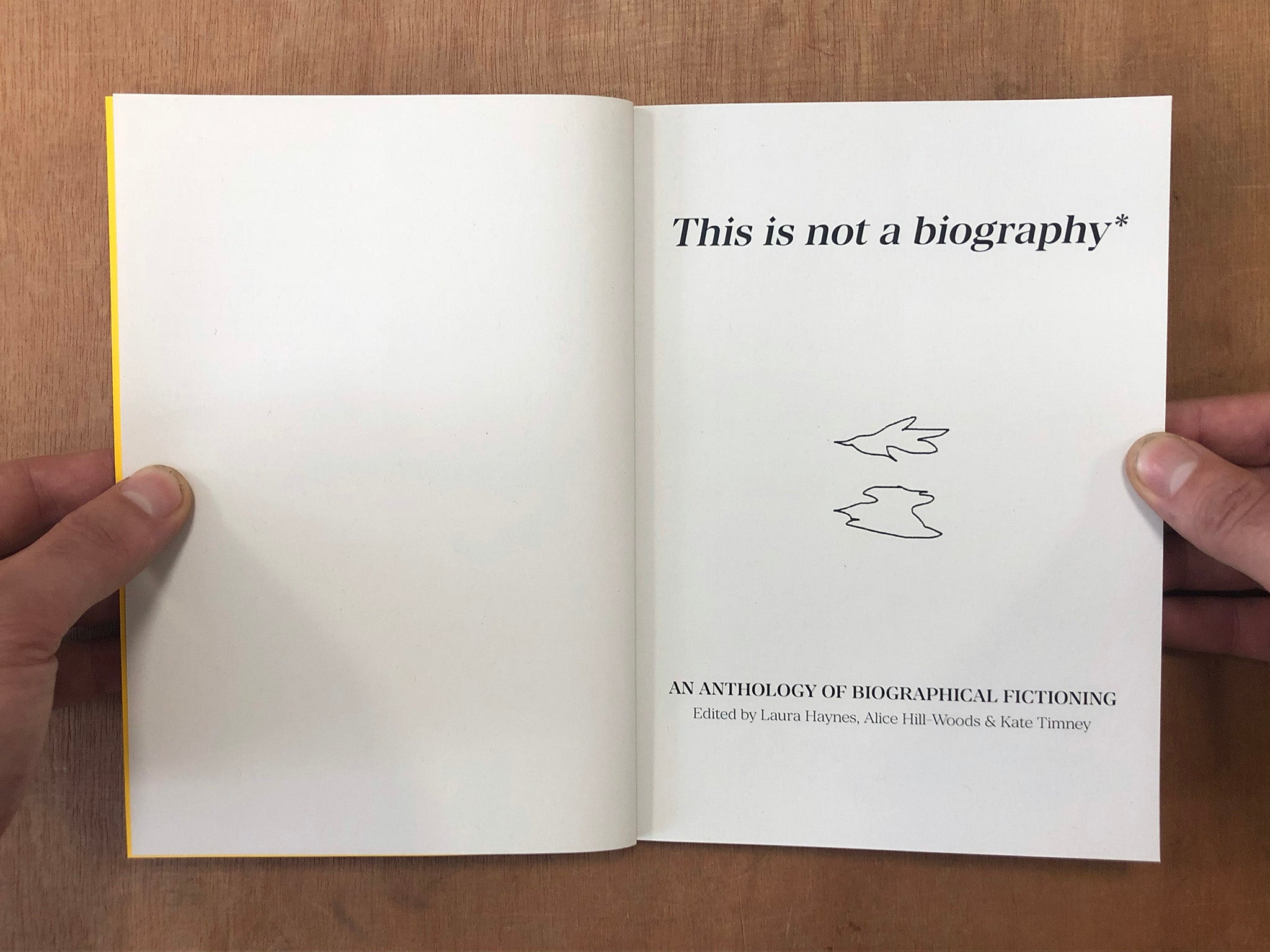 THIS IS NOT A BIOGRAPHY* ed. Laura Haynes, Alice Hill-Woods and Kate Timney