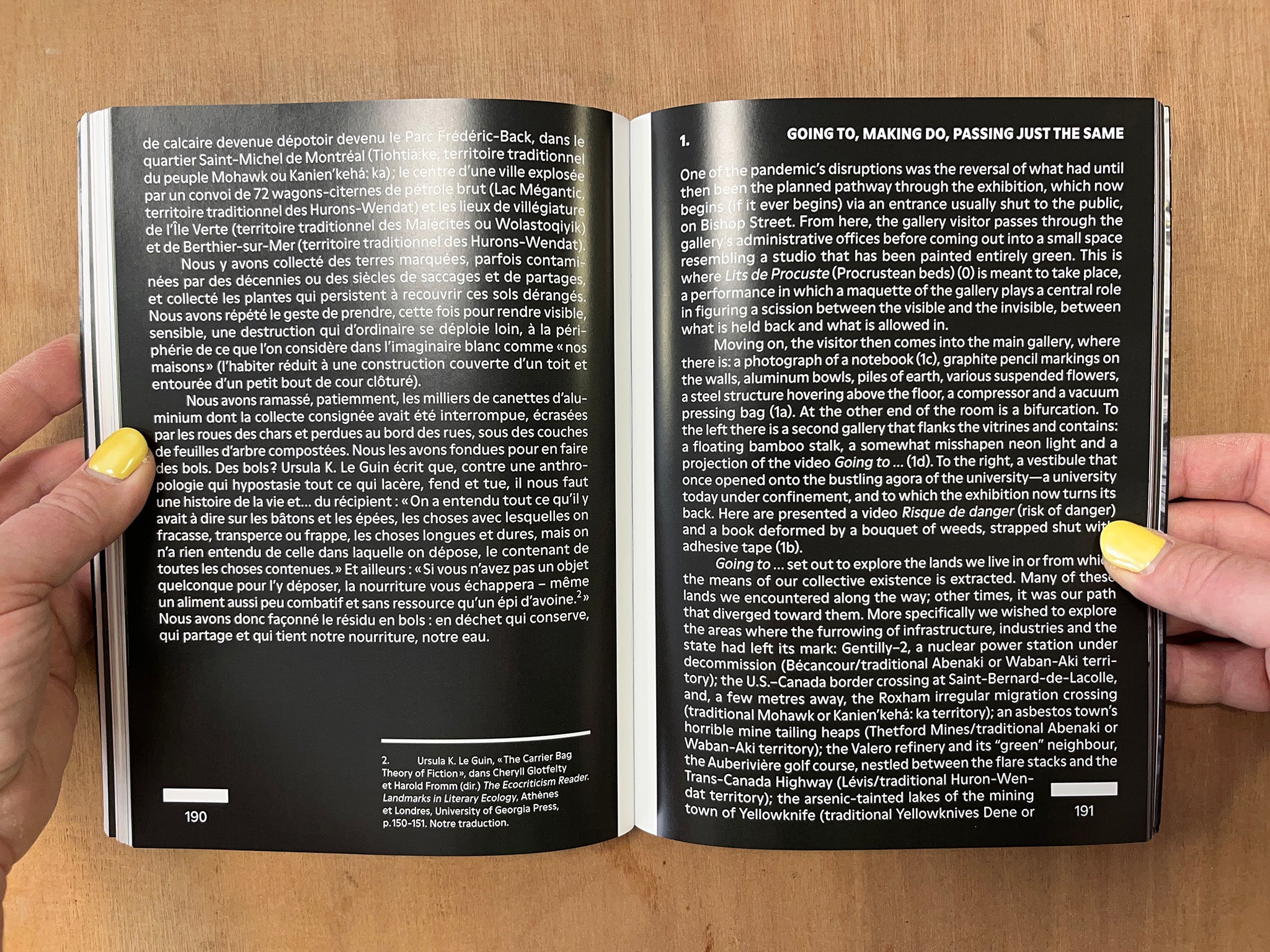 GOING TO, MAKING DO, PASSING JUST THE SAME by Edith Brunette & François Lemieux