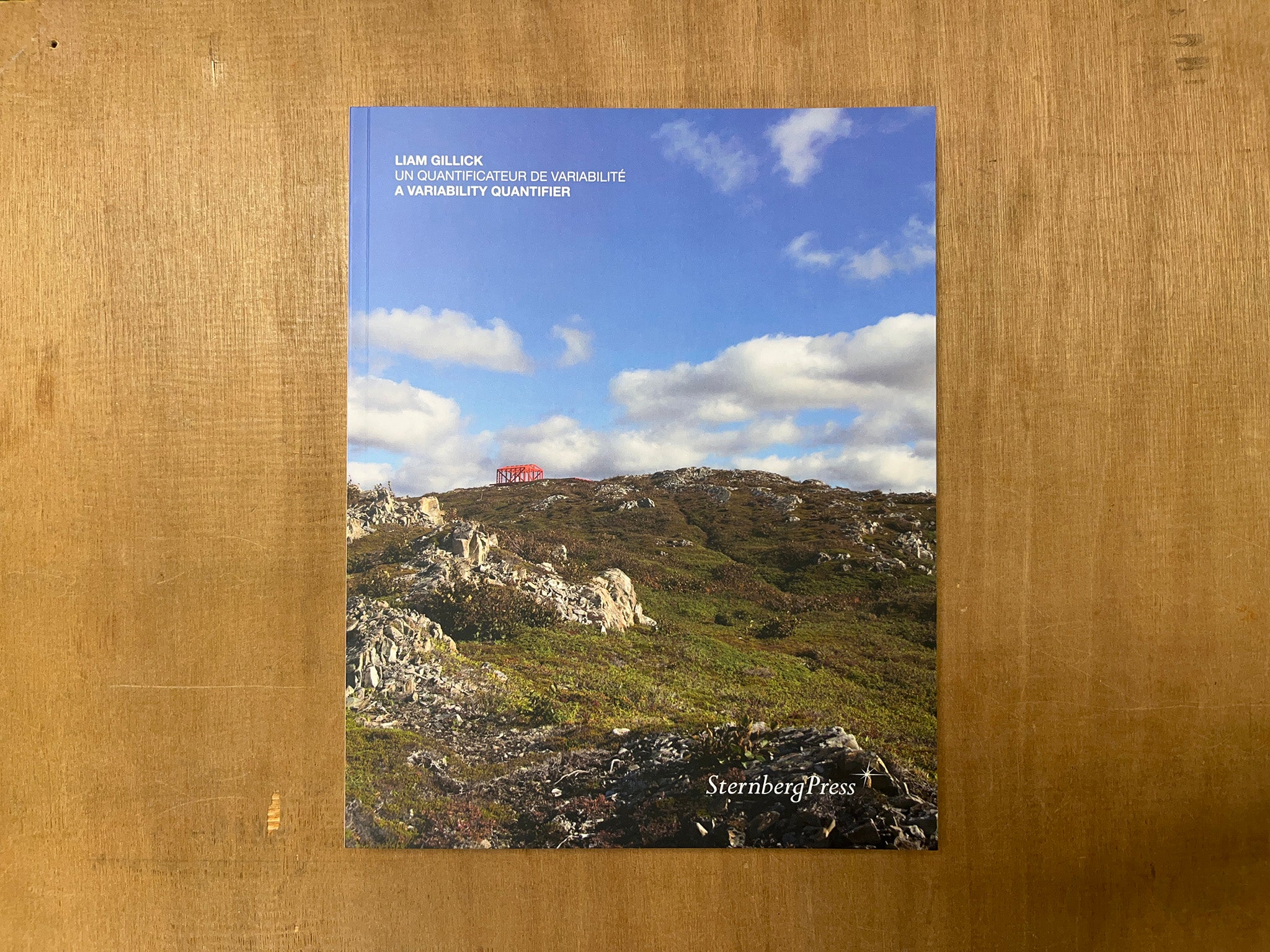 A VARIABILITY QUANTIFIER by Liam Gillick