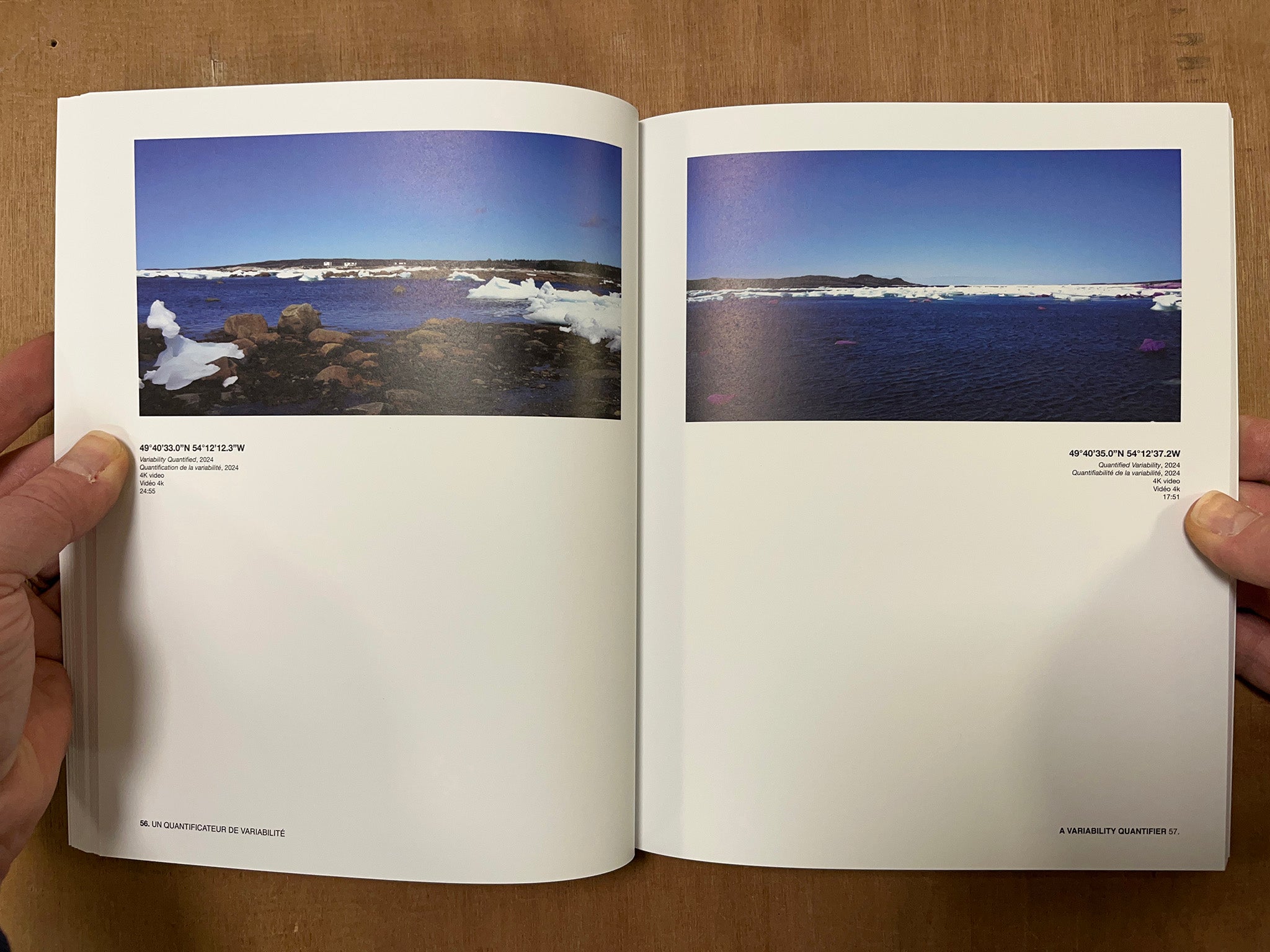 A VARIABILITY QUANTIFIER by Liam Gillick