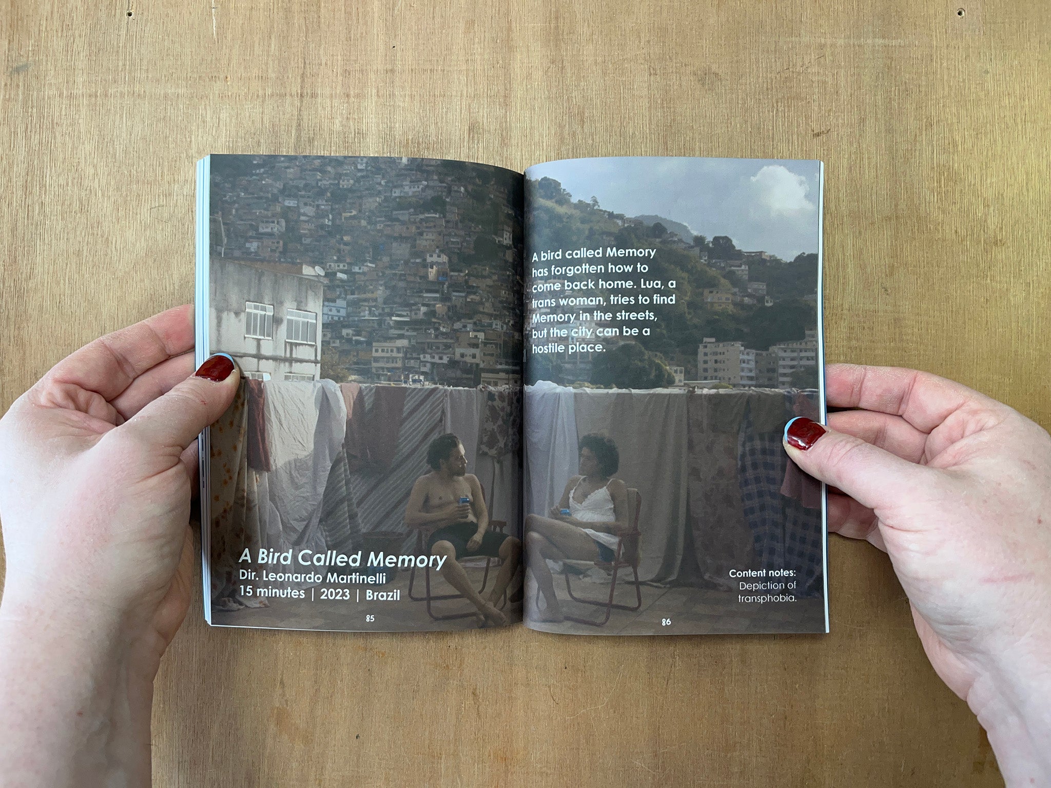 CURATORIAL CONSTELLATIONS: ISSUE 1