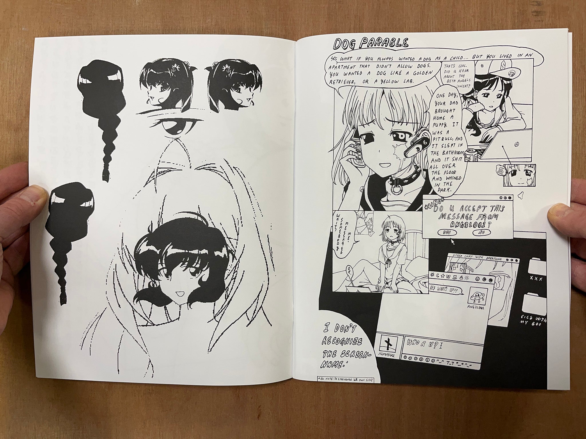 COLLECTED COMICS 2011-2013 by Sua Yoo