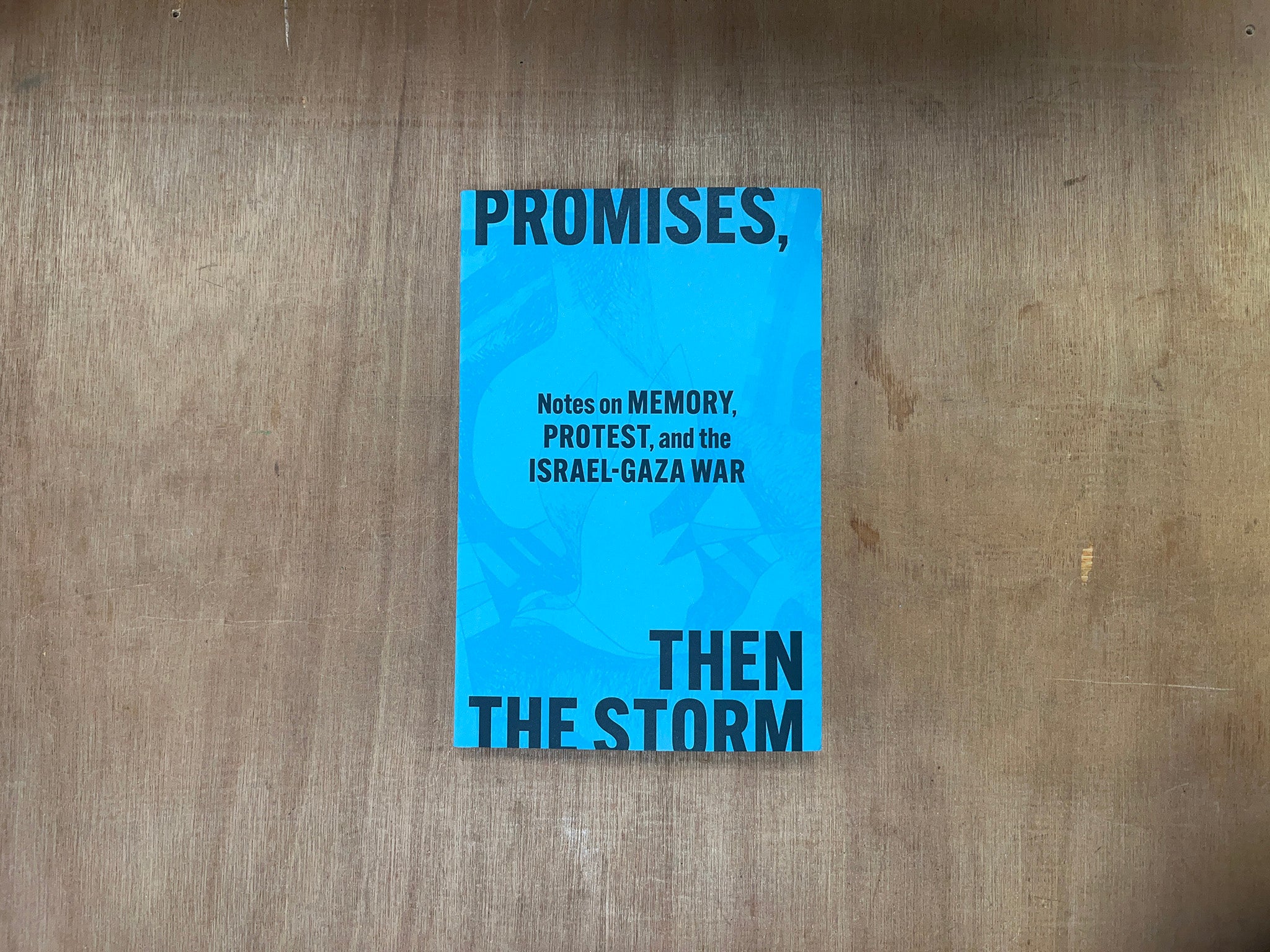 PROMISES, THEN THE STORM: NOTES ON MEMORY, PROTEST, AND THE ISRAEL–GAZA WAR by Melani McAlister