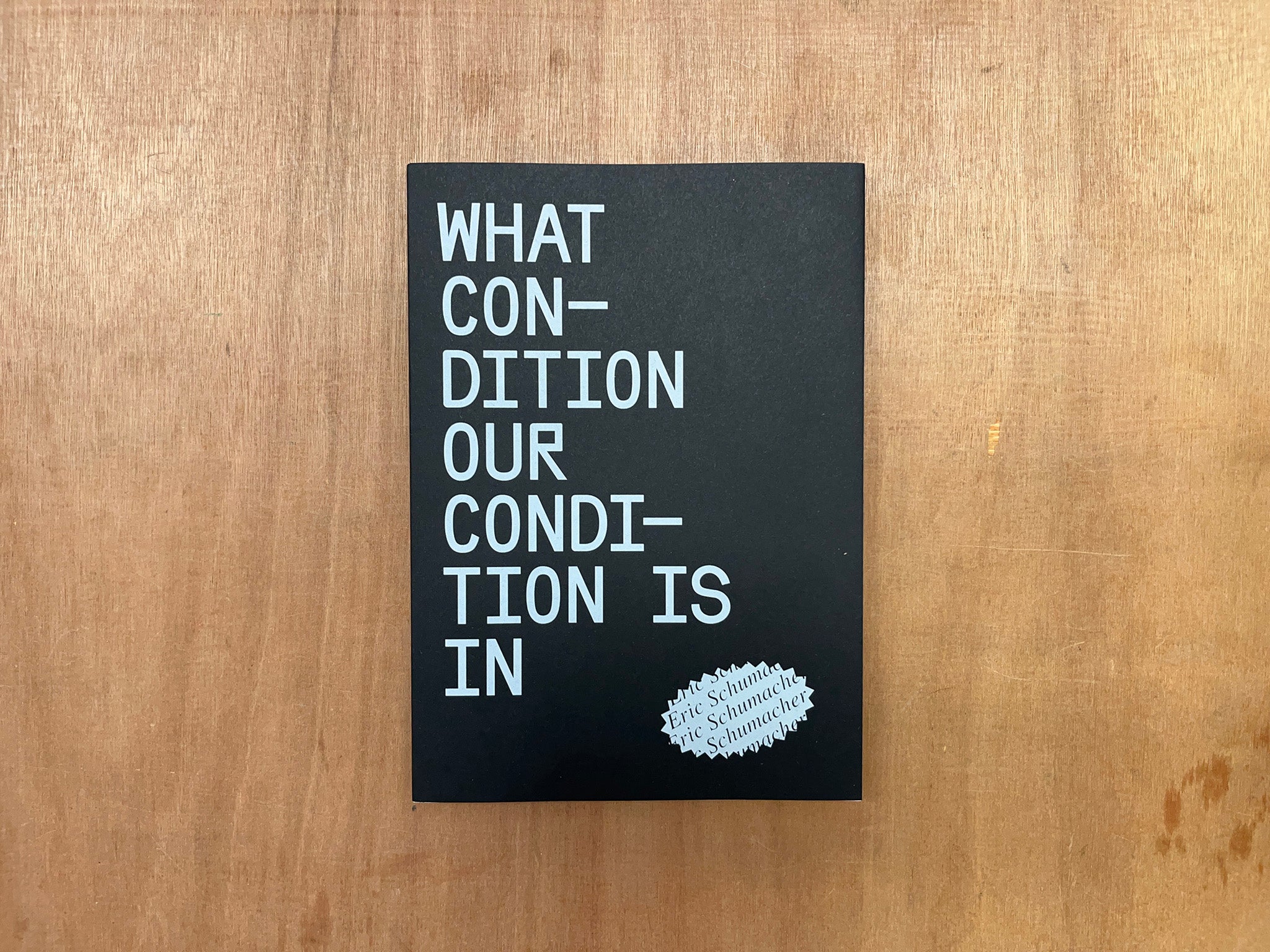 WHAT CONDITION OUR CONDITION IS IN by Eric Schumacher