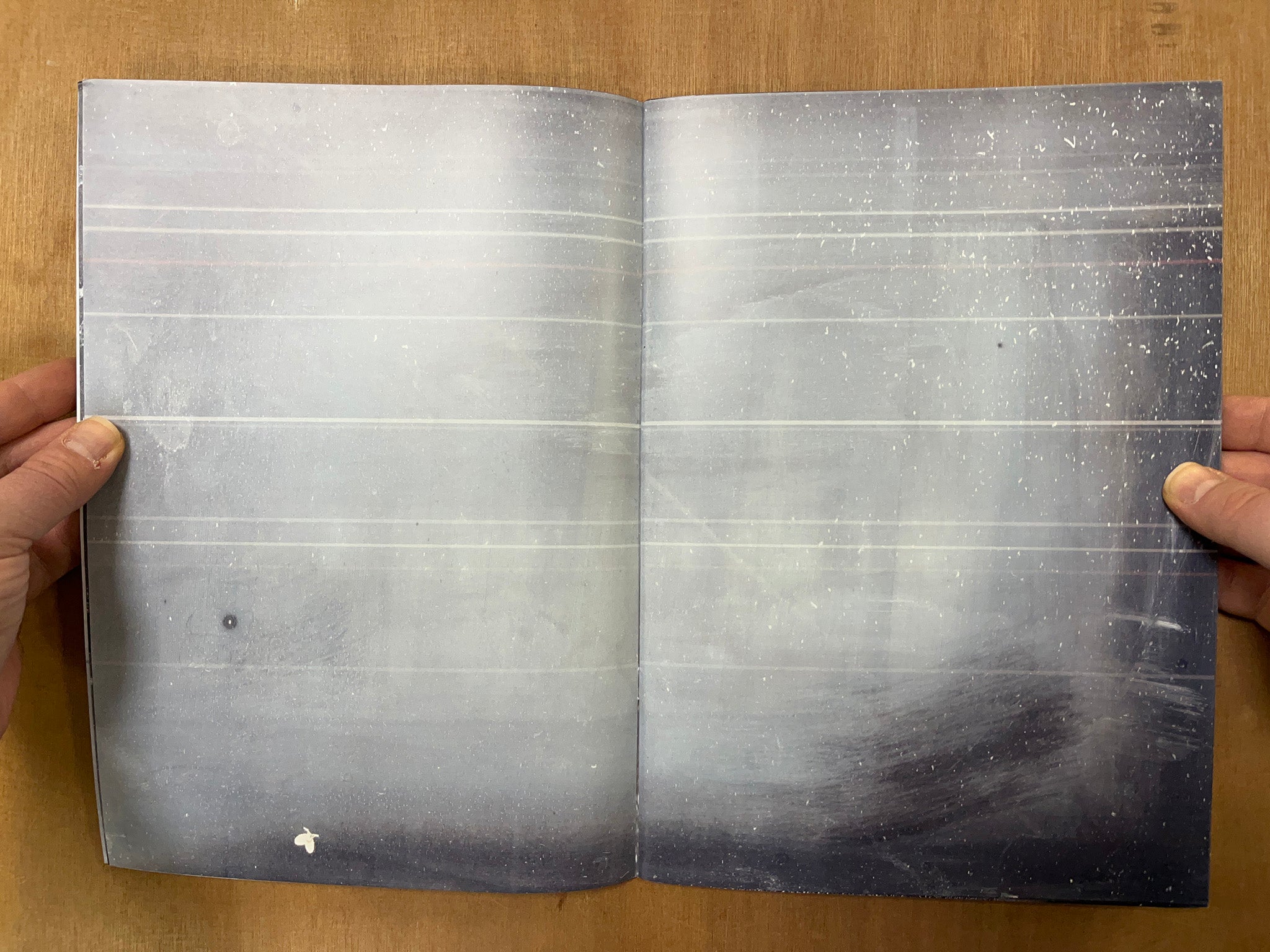 NIGHT SCANS by Will Peck