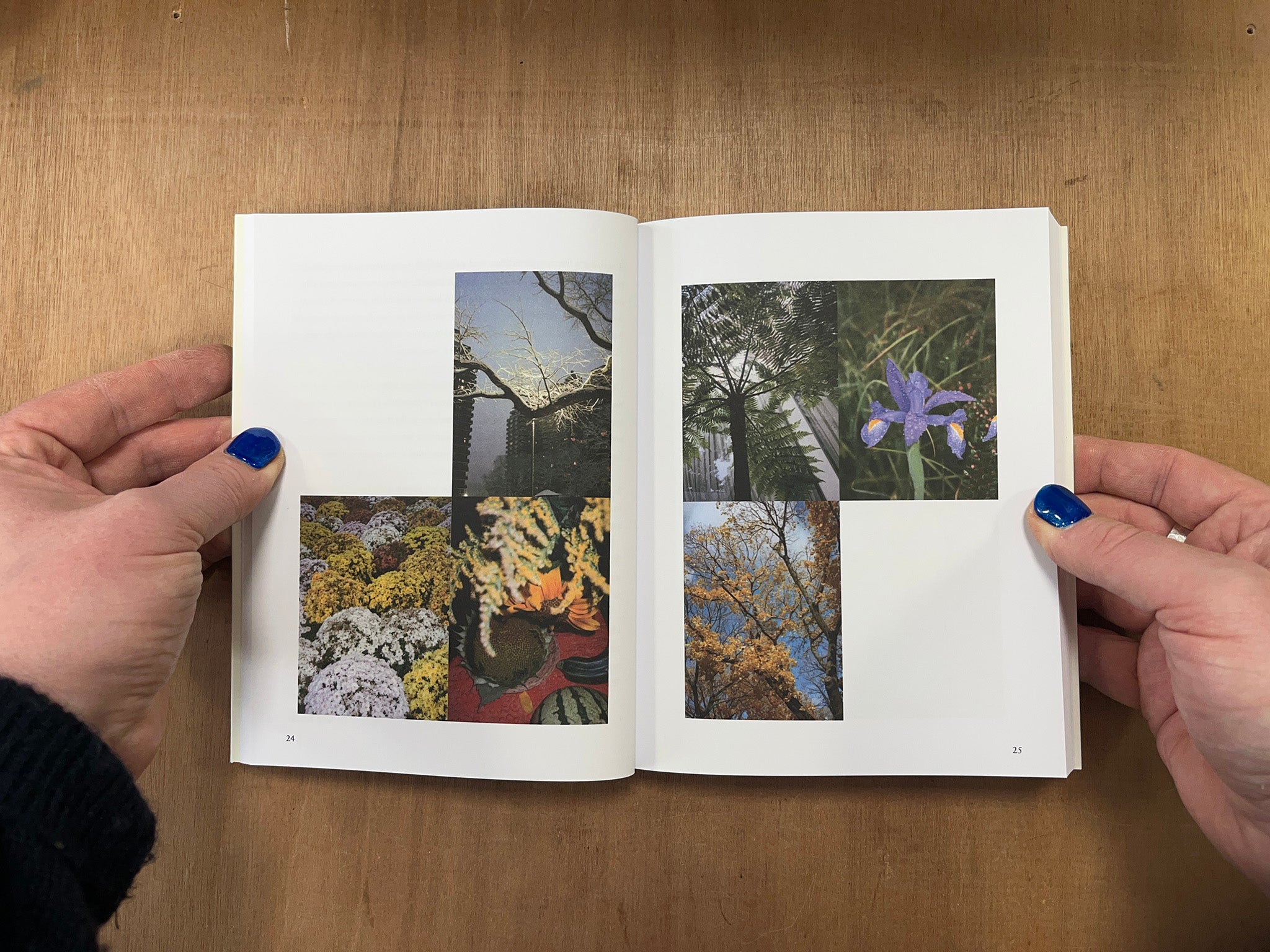 A GARDEN MANIFESTO Edited by Olivia Laing and Richard Porter