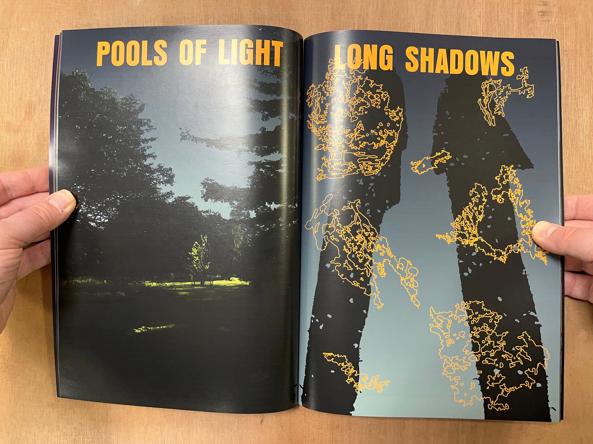 THE TERRIFYING ADVENTURES OF A TIMID INTROVERT by James Blagden