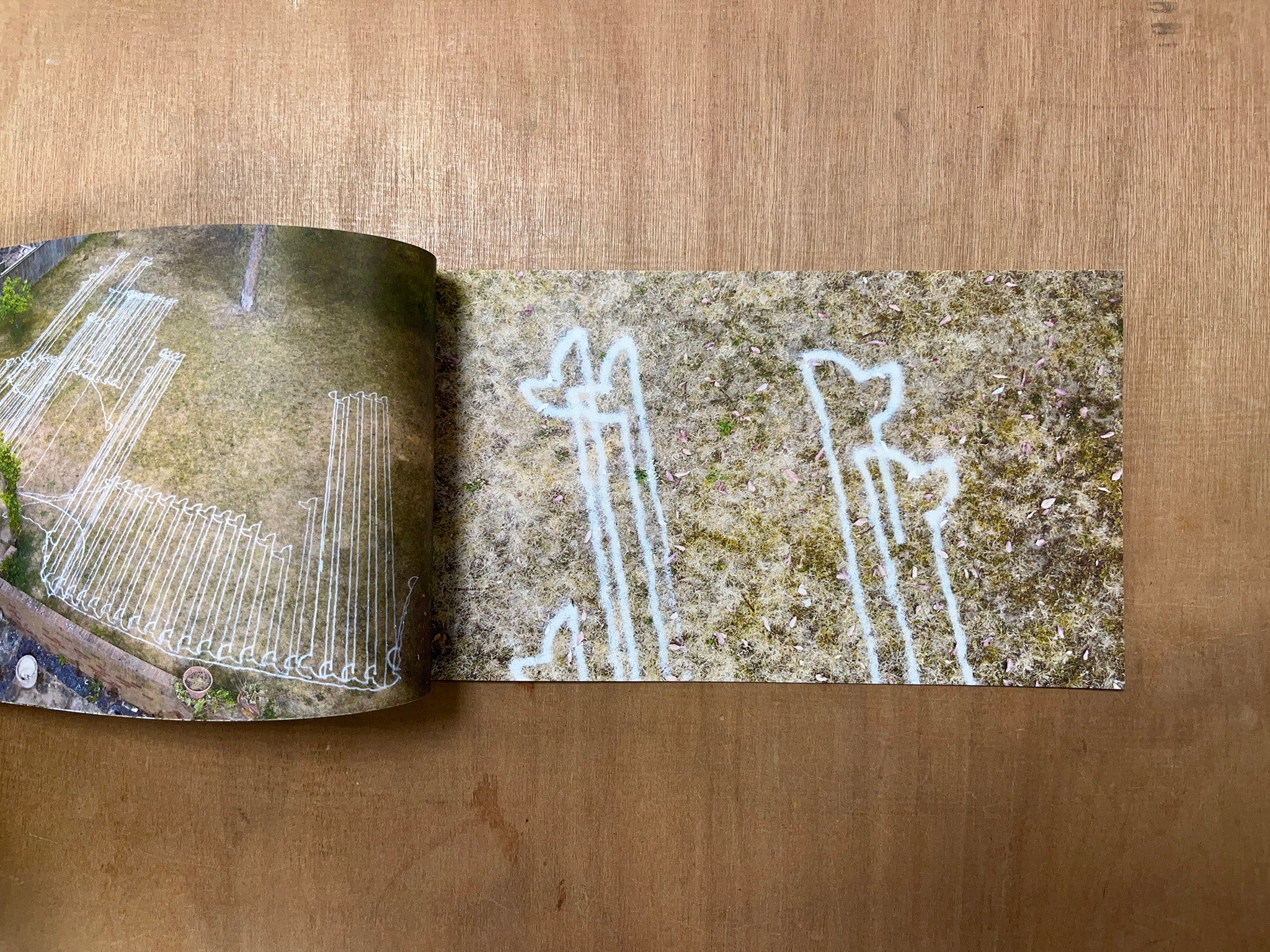 #1 289 M² ID 3 LAST CUT --- by Will Peck