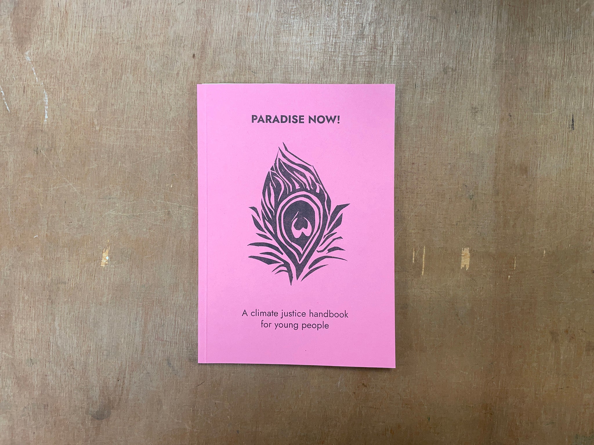 PARADISE NOW! A CLIMATE JUSTICE HANDBOOK FOR YOUNG PEOPLE Edited by Hussein Mitha