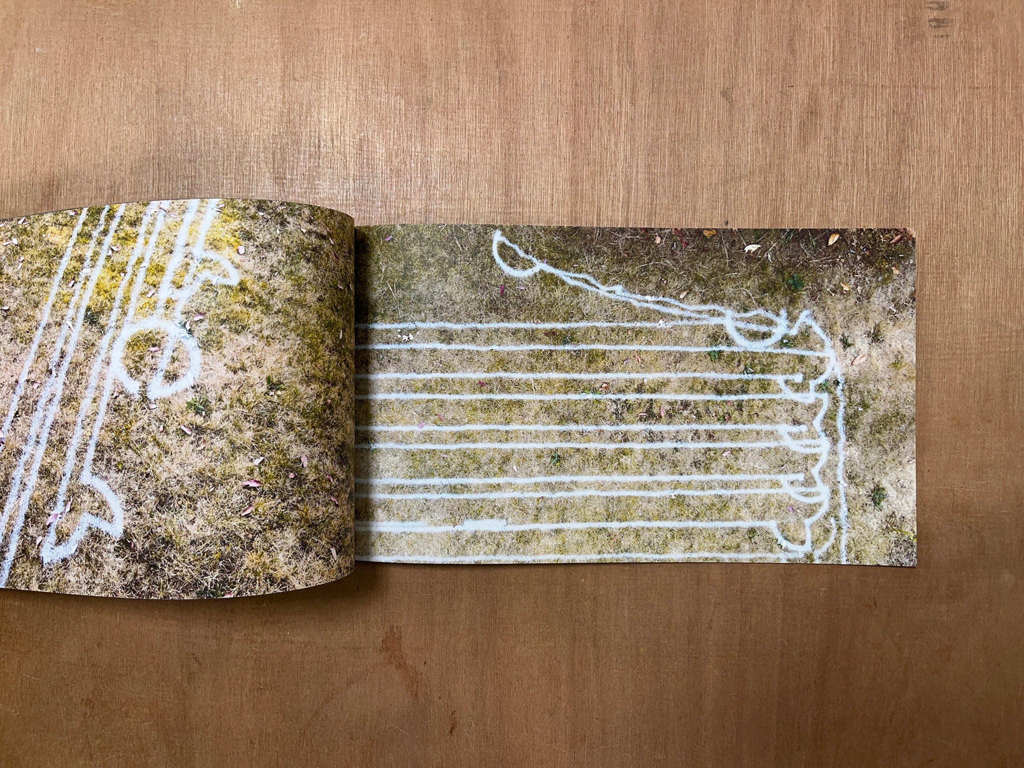 #1 289 M² ID 3 LAST CUT --- by Will Peck