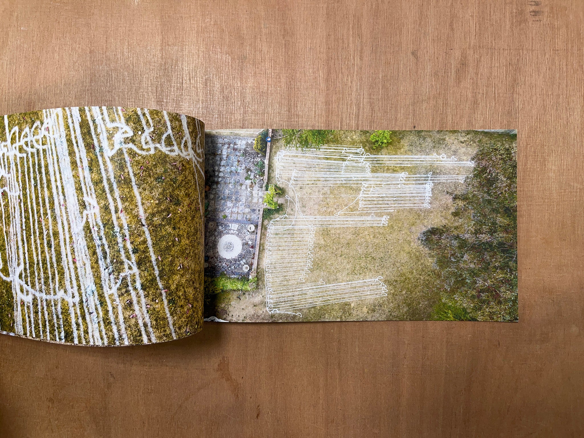 #1 289 M² ID 3 LAST CUT --- by Will Peck