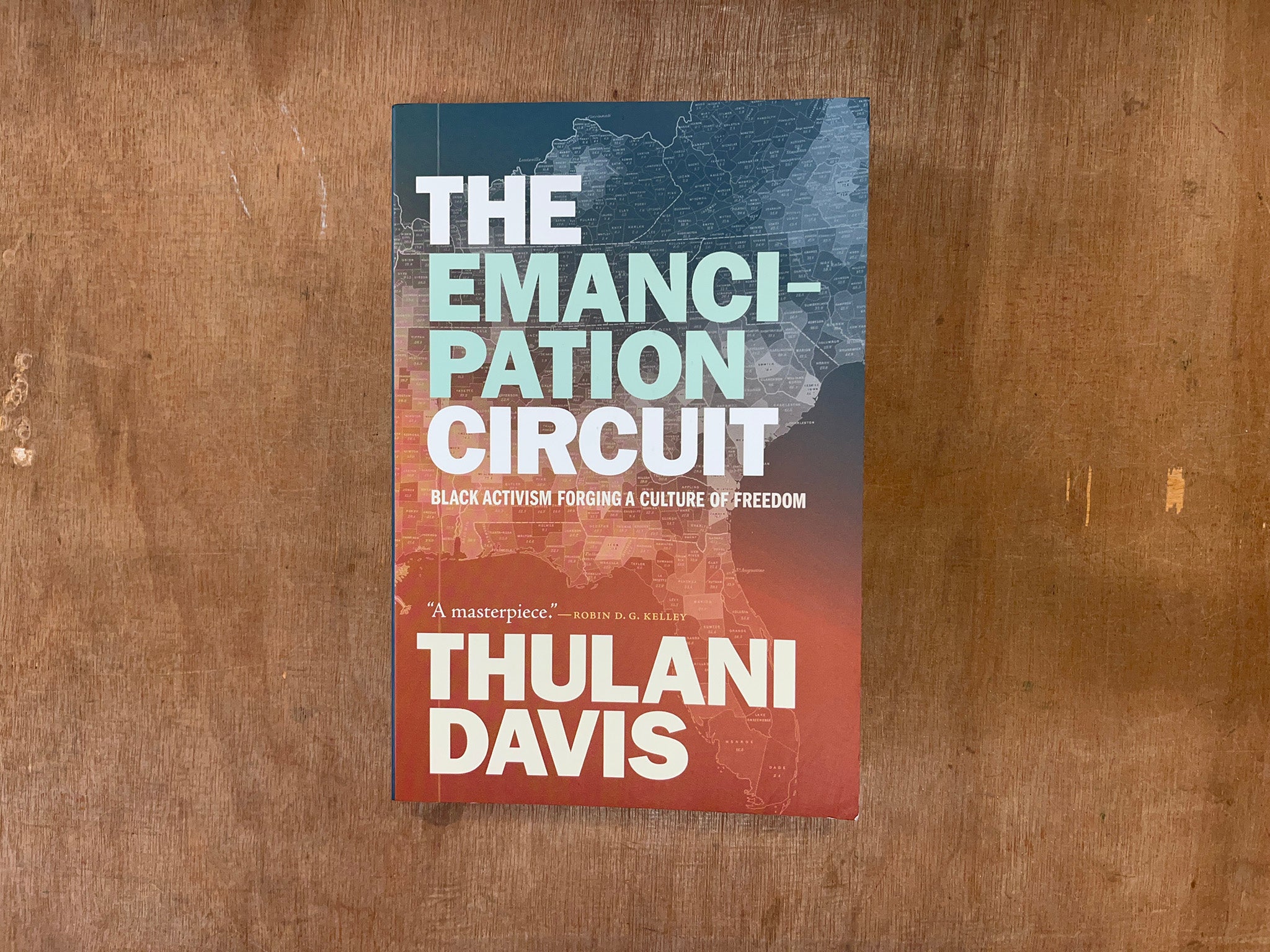 THE EMANCIPATION CIRCUIT by Thulani Davis