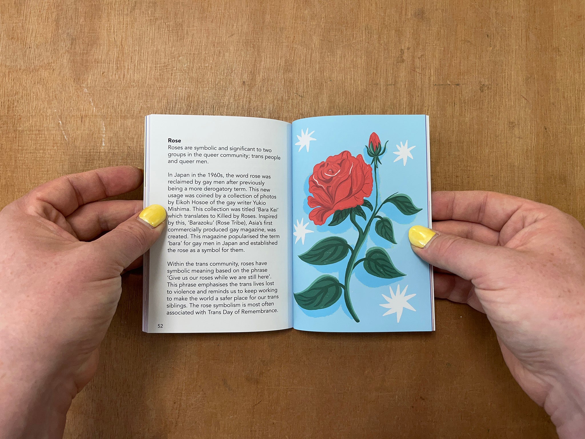 THE QUEER CODED ZINE by Emily A. Foster & H.E. Smith