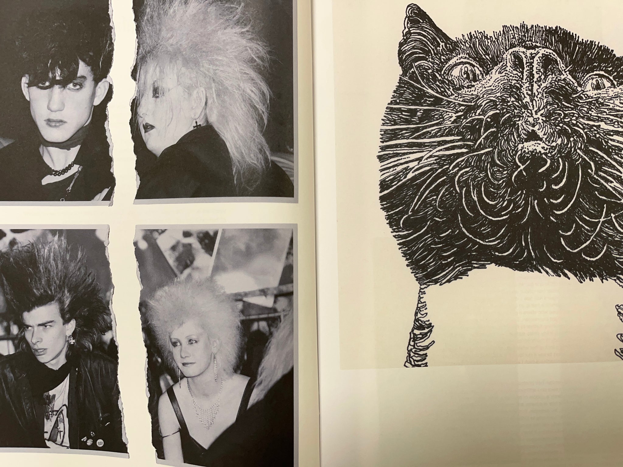 COMPOST ISSUE 3: HAIRY TALES