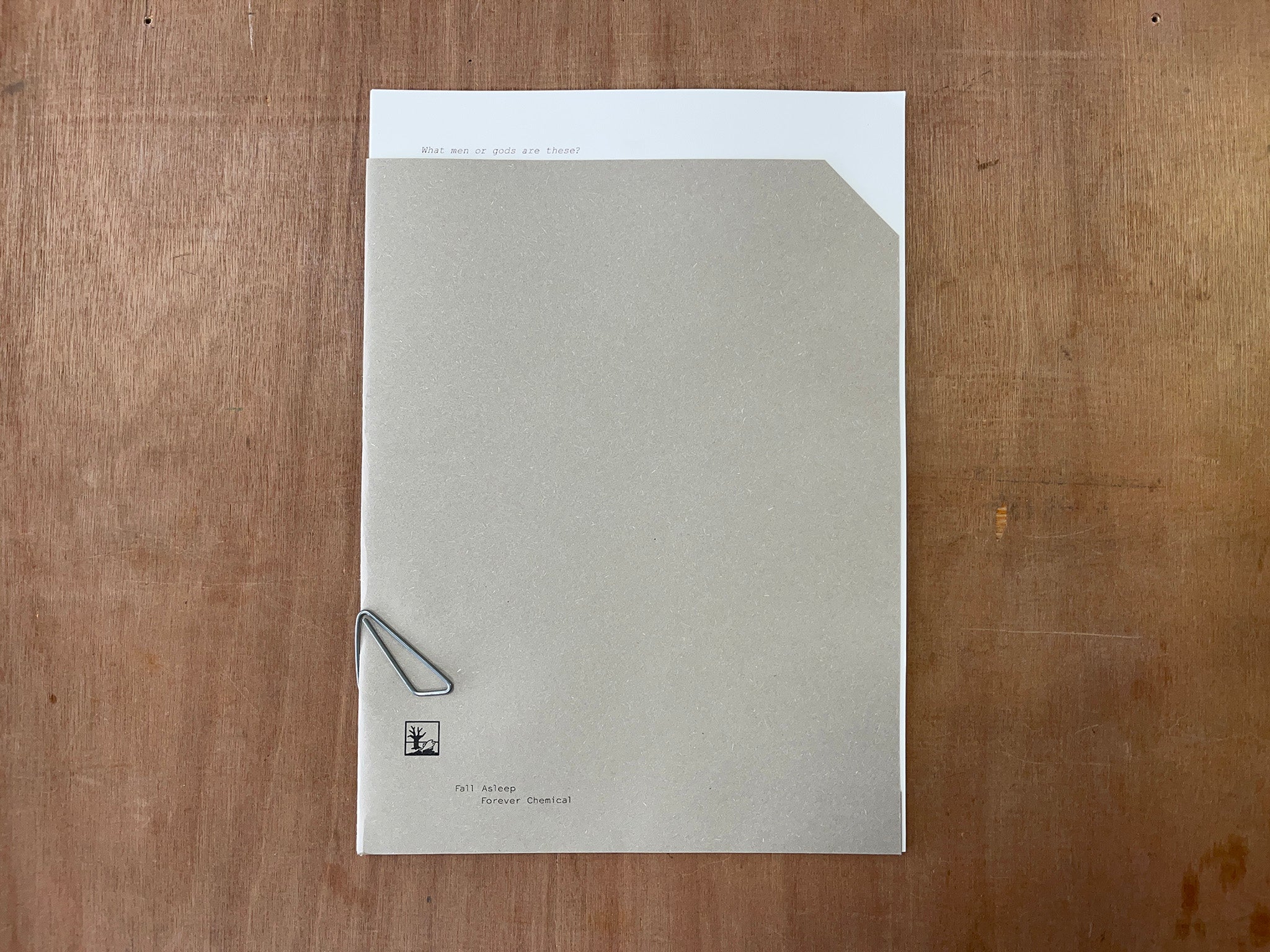 FALL ASLEEP, FOREVER CHEMICAL by Clara Rudin Smith
