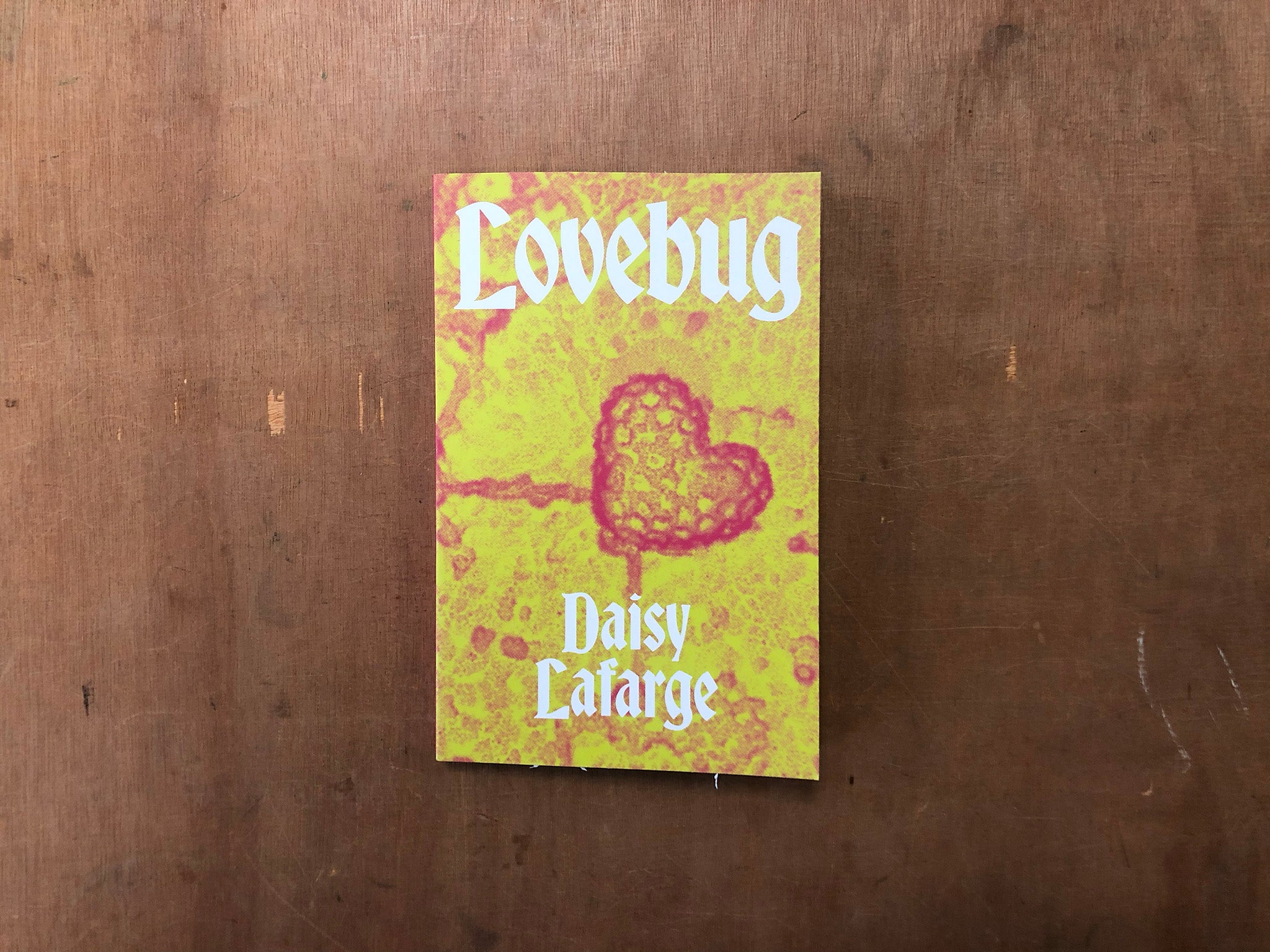 LOVEBUG by Daisy Lafarge