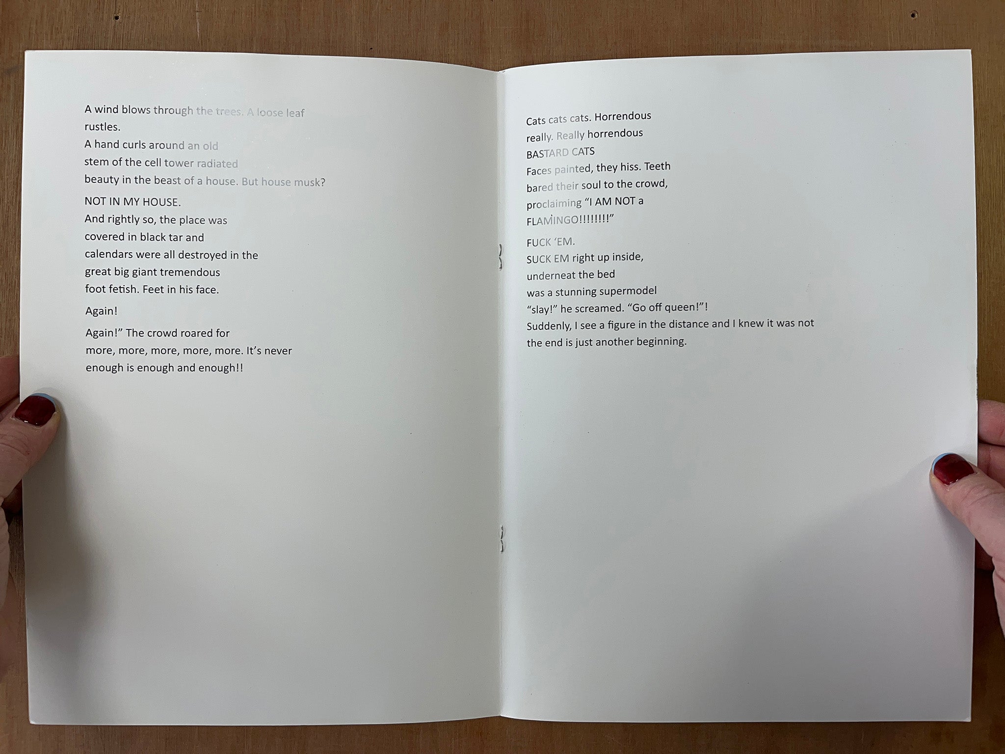 LESS ASSEMBLED REALITY POEMS by Loose Audio Riddle Party