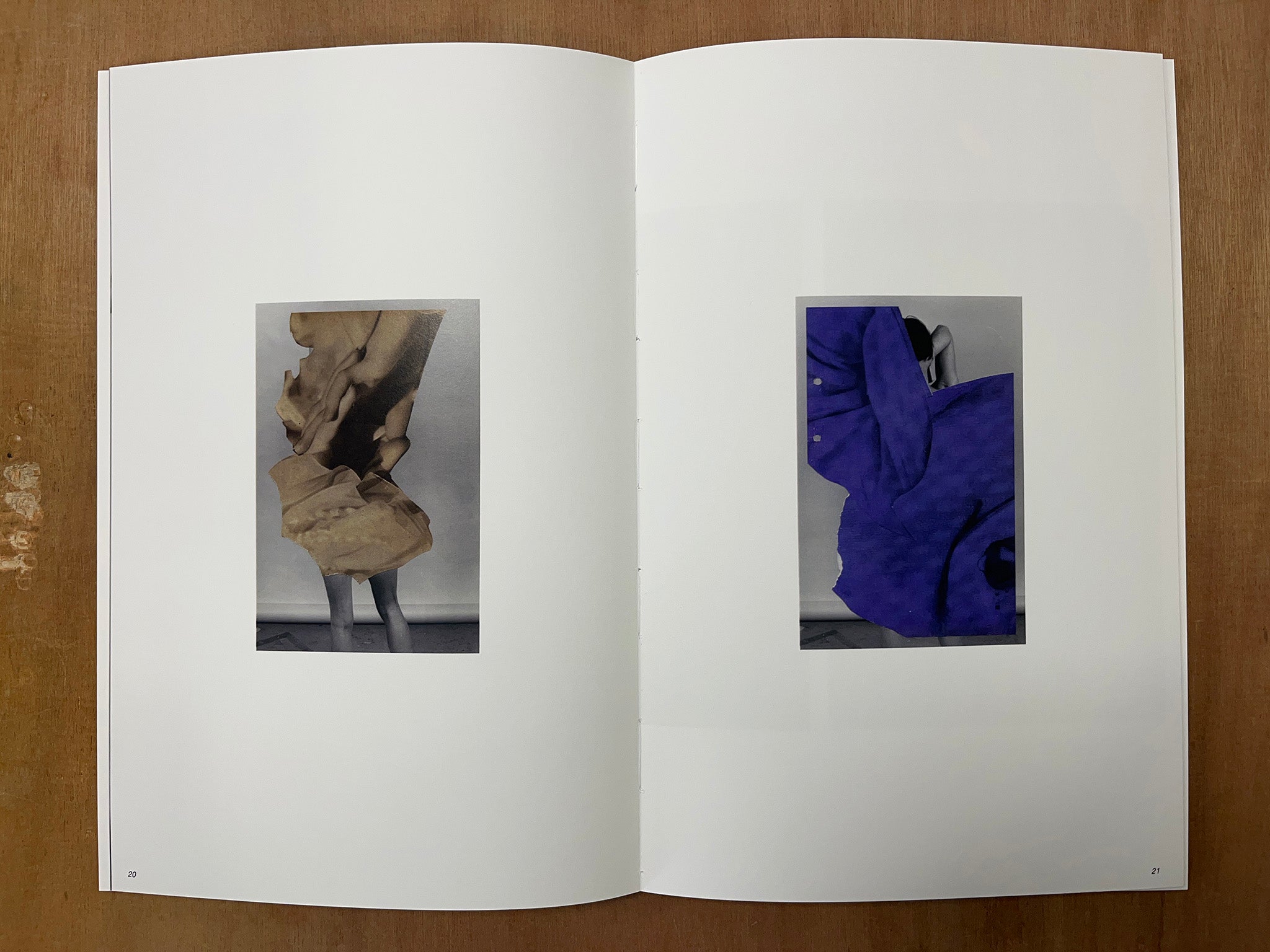 FRANCES, OR SOMETHING SIMILAR by Anthony Gerace