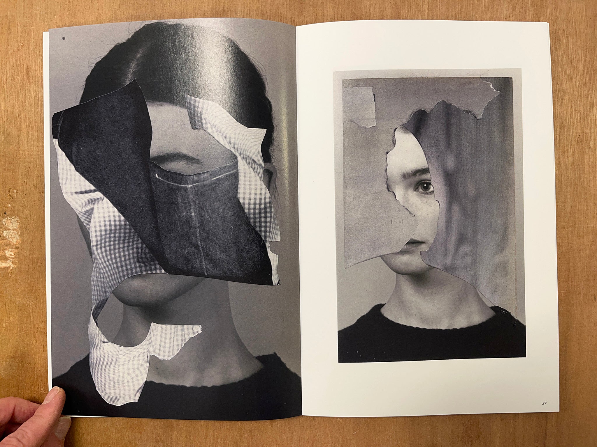 FRANCES, OR SOMETHING SIMILAR by Anthony Gerace